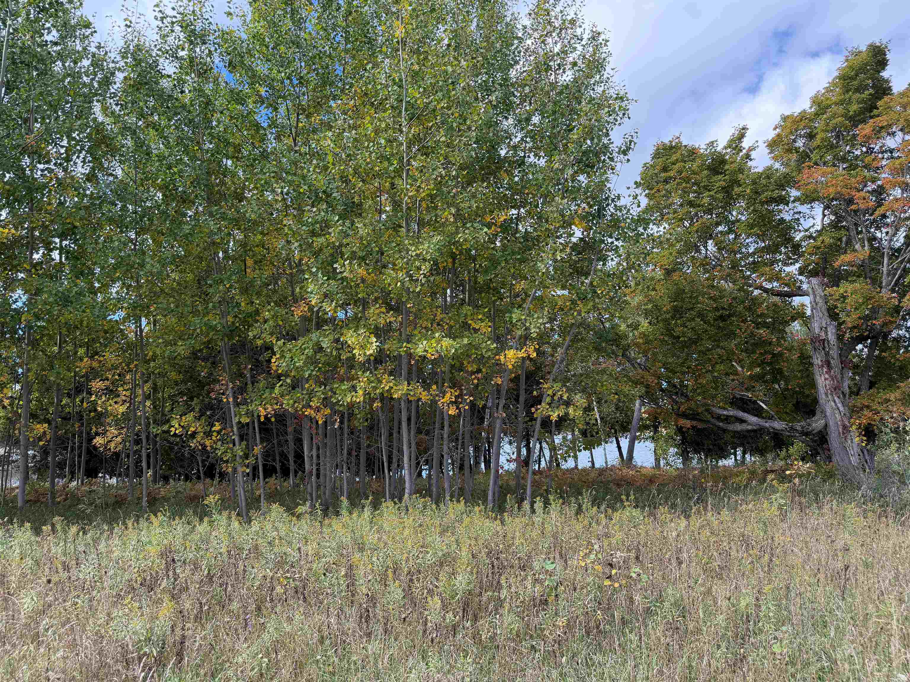 Photo 1 of Land for sale at 7777 Mulberry Ln, Charlevoix, MI 49720 | MLS# 78080074291 | Listing updated on 2026-10-07