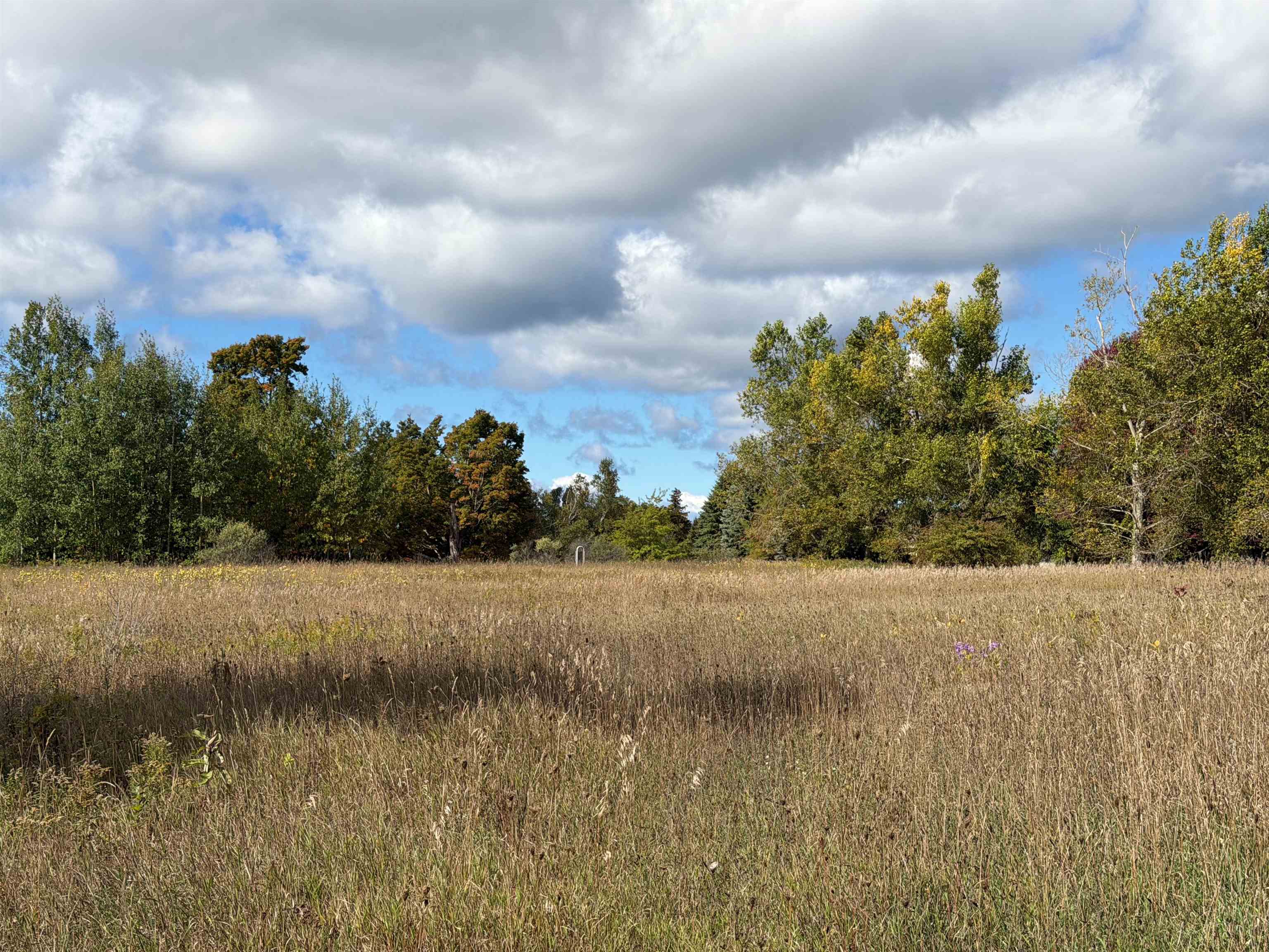 Photo 2 of Land for sale at 7777 Mulberry Ln, Charlevoix, MI 49720 | MLS# 78080074291 | Listing updated on 2026-10-07