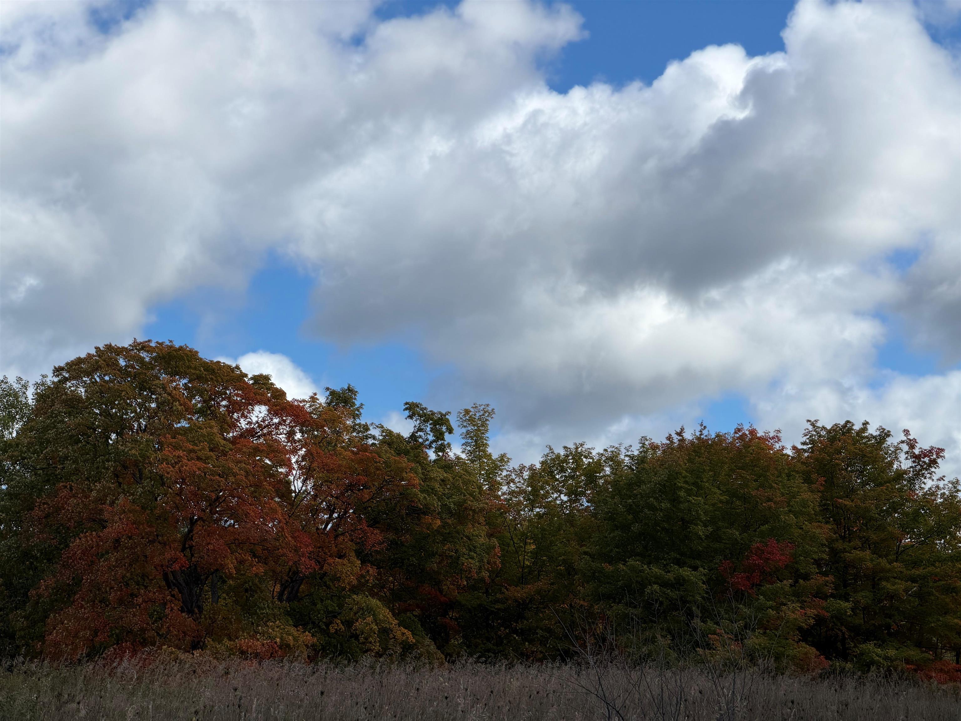 Photo 4 of Land for sale at 7777 Mulberry Ln, Charlevoix, MI 49720 | MLS# 78080074291 | Listing updated on 2026-10-07