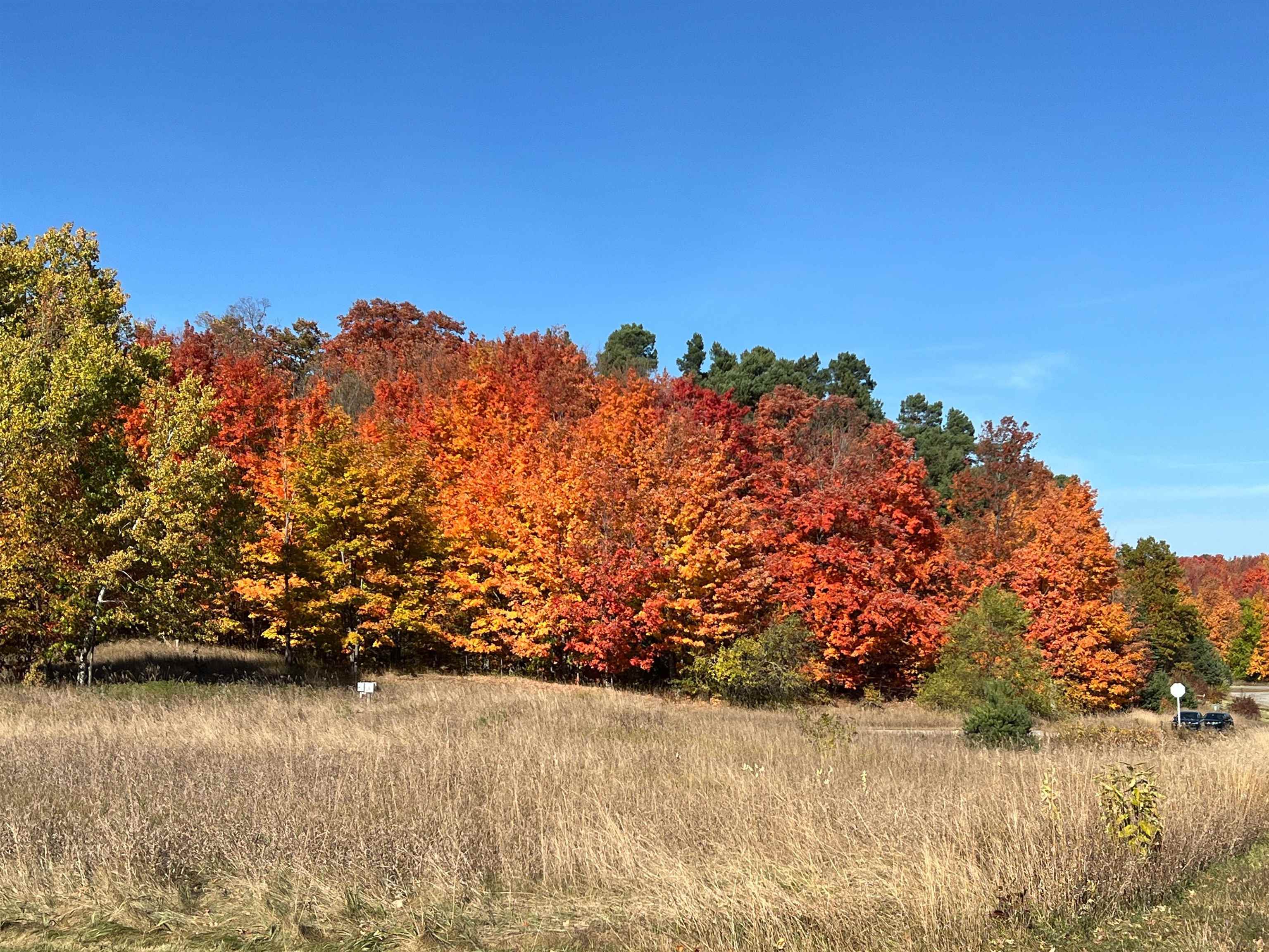 Photo 1 of Land for sale at 5868 S Calle Ct, Suttons Bay, MI 49682 | MLS# 78080074307 | Listing updated on 2026-10-07