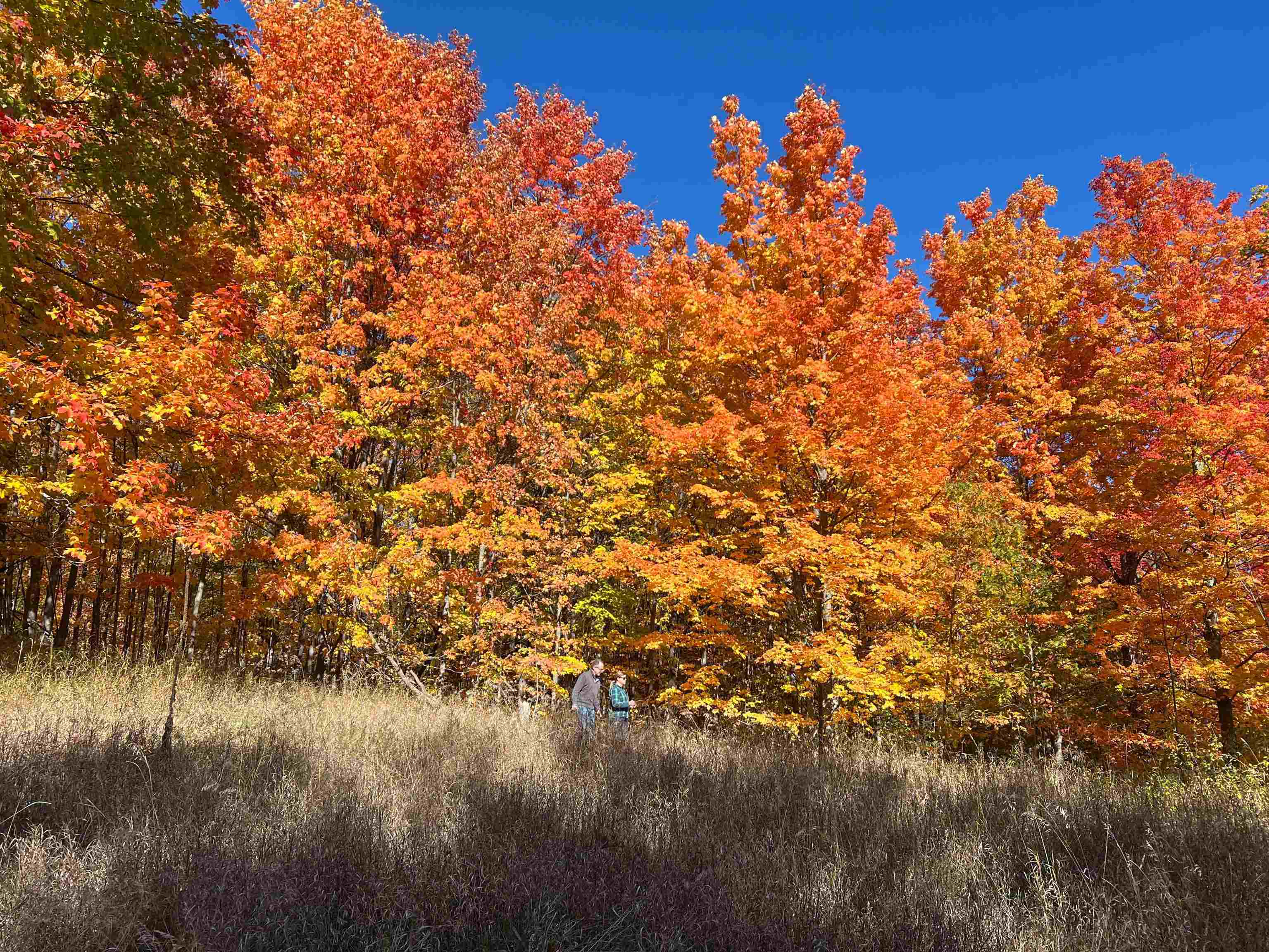 Photo 2 of Land for sale at 5868 S Calle Ct, Suttons Bay, MI 49682 | MLS# 78080074307 | Listing updated on 2026-10-07