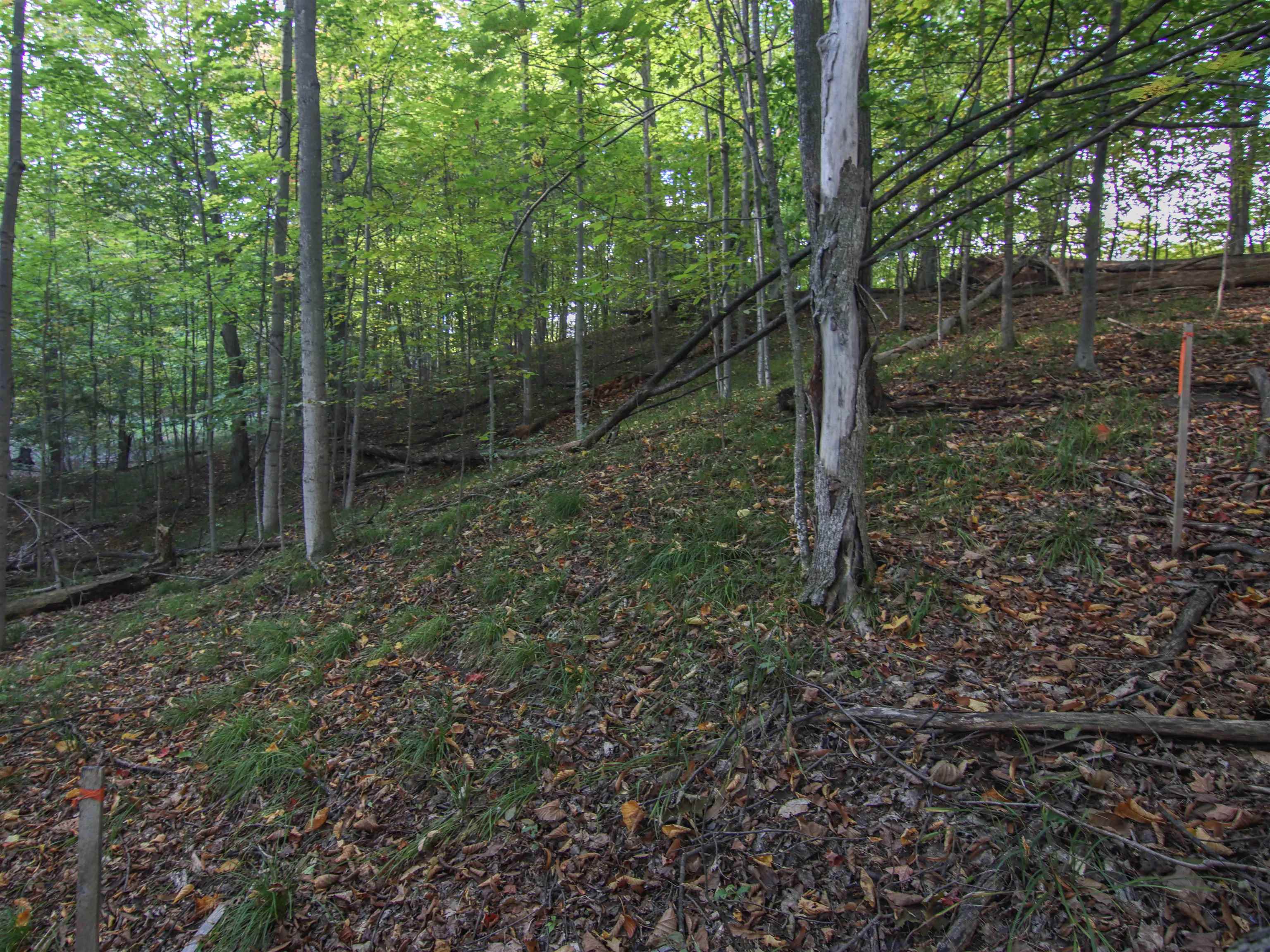 Photo 3 of Land for sale at 5868 S Calle Ct, Suttons Bay, MI 49682 | MLS# 78080074307 | Listing updated on 2026-10-07
