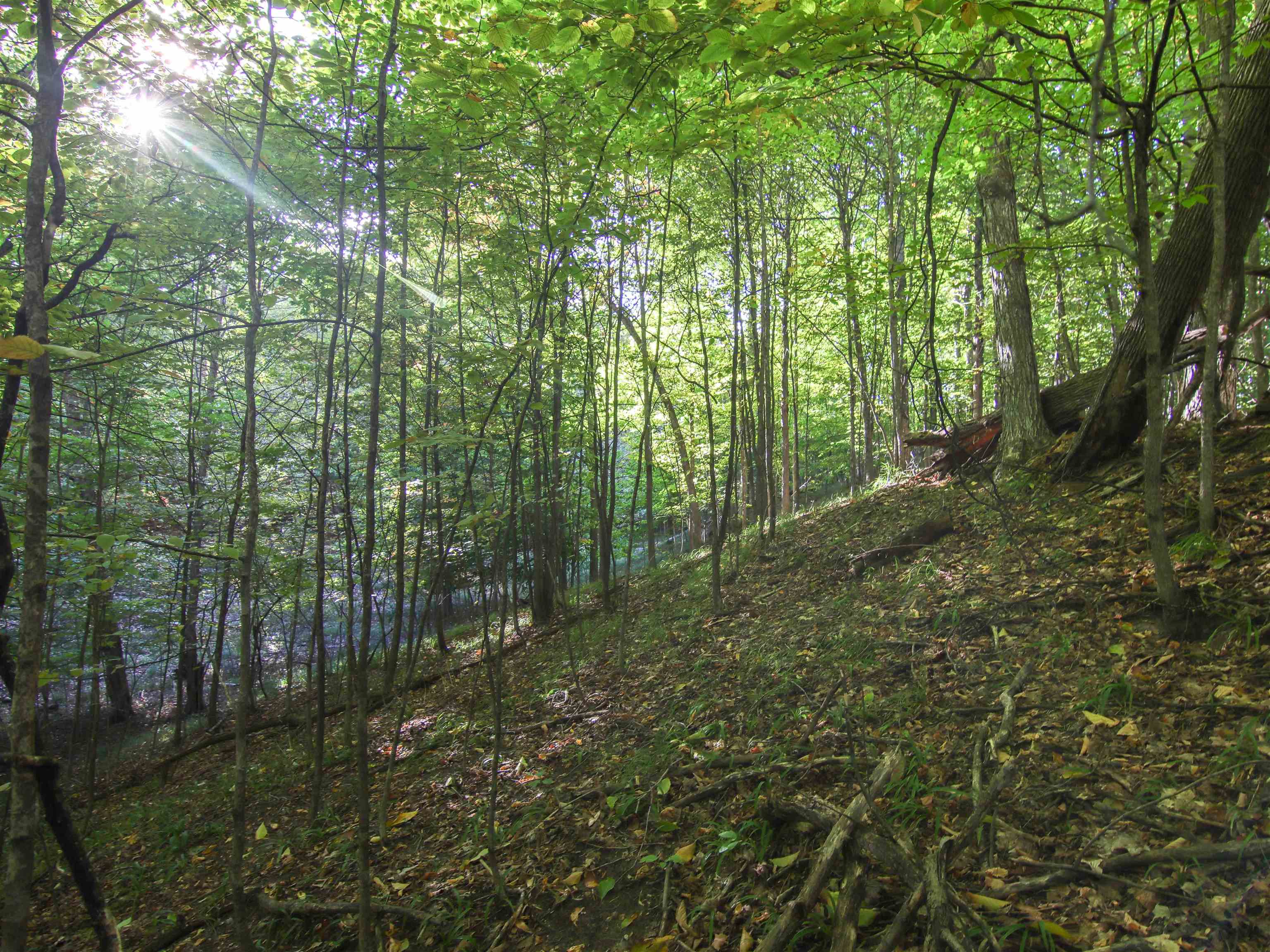 Photo 3 of Land for sale at 5868 S Calle Ct, Suttons Bay, MI 49682 | MLS# 78080074307 | Listing updated on 2026-10-07