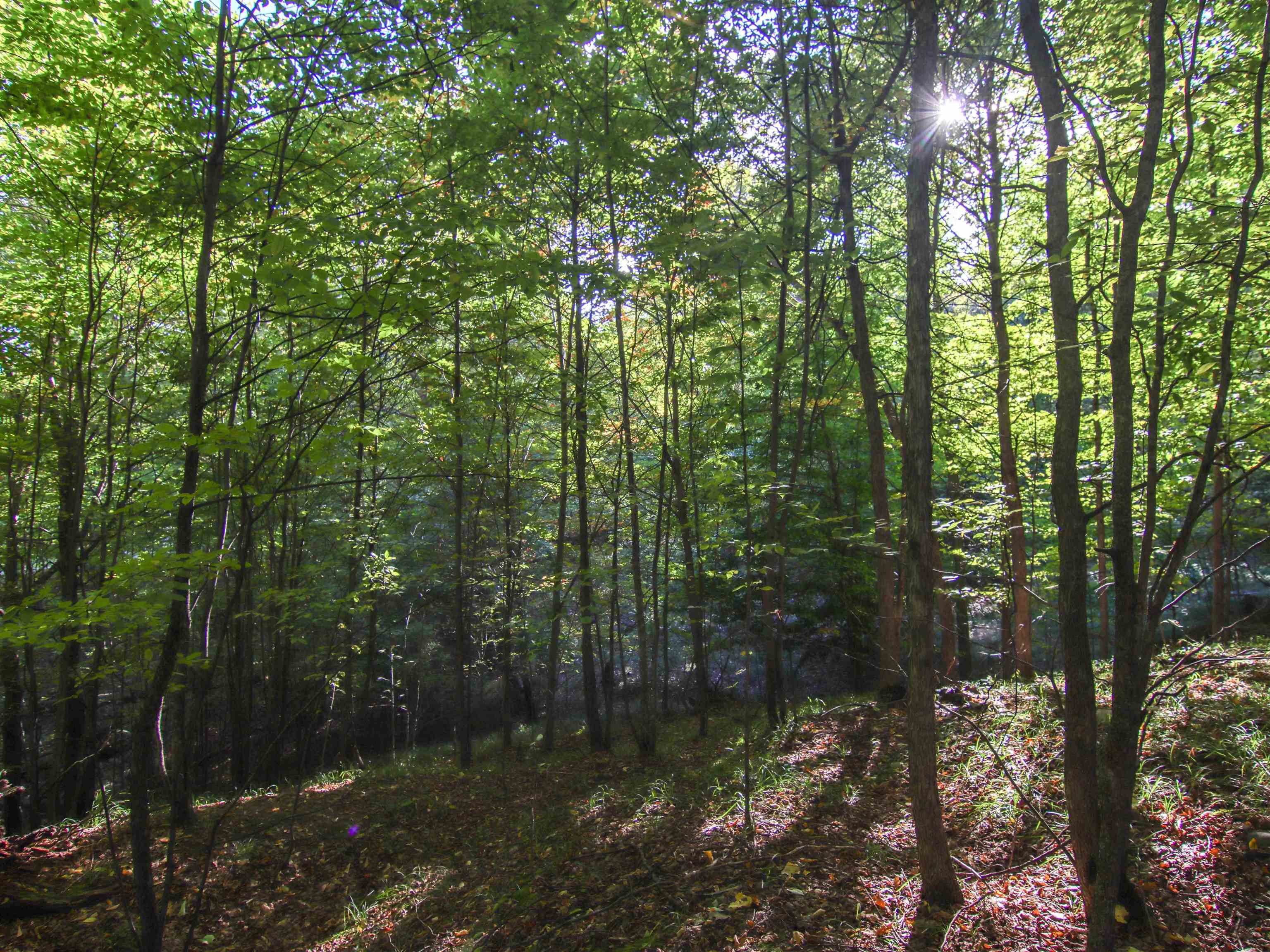 Photo 4 of Land for sale at 5868 S Calle Ct, Suttons Bay, MI 49682 | MLS# 78080074307 | Listing updated on 2026-10-07