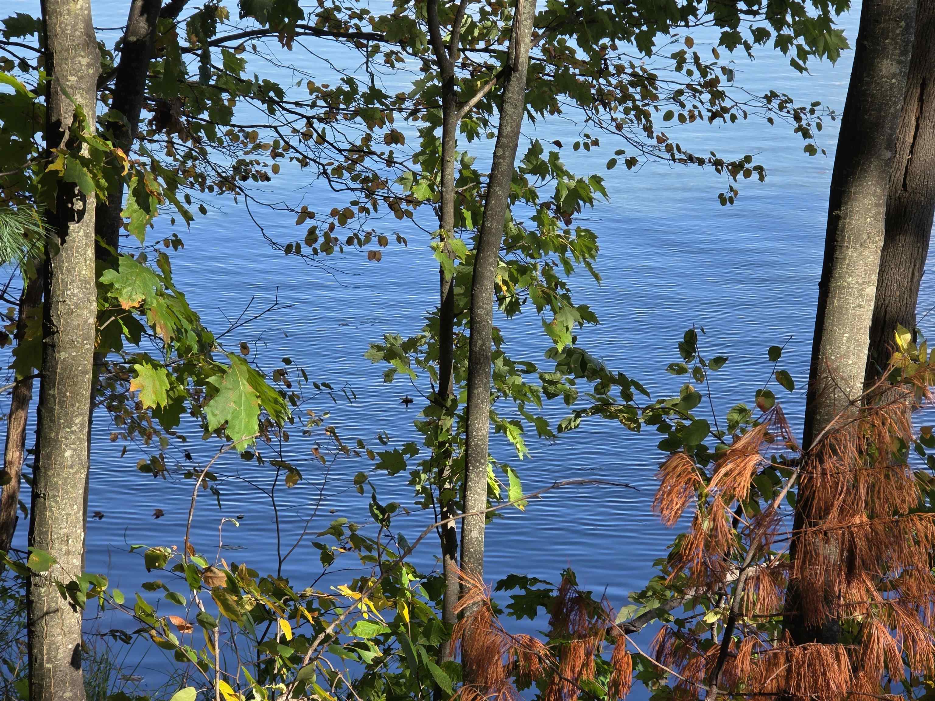 Photo 2 of Land for sale at 5870 NE Woodland Dr, Kalkaska, MI 49646 | MLS# 80074325 | Listing updated on 2026-10-08