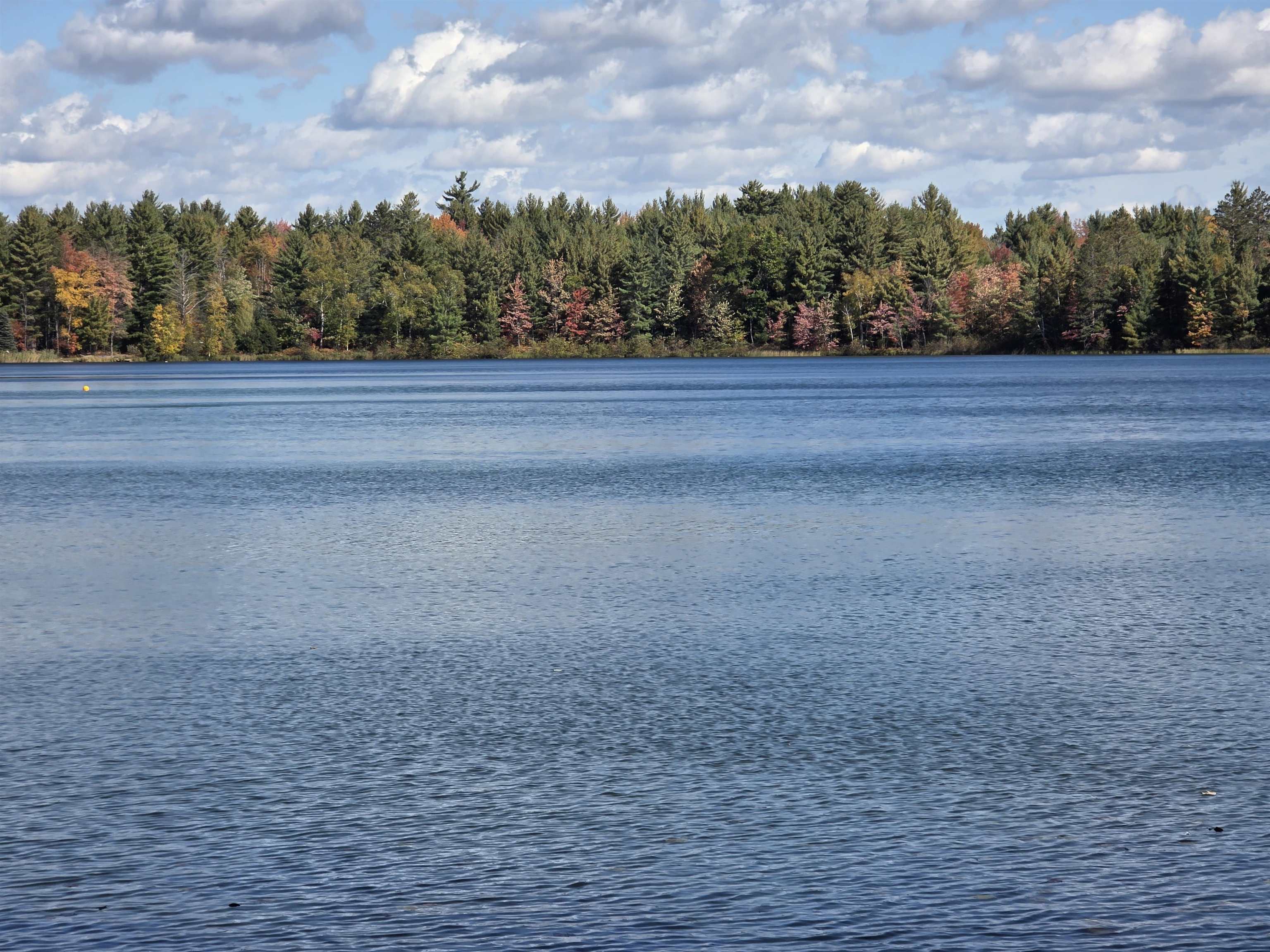 Photo 4 of Land for sale at 5870 NE Woodland Dr, Kalkaska, MI 49646 | MLS# 80074325 | Listing updated on 2026-10-08
