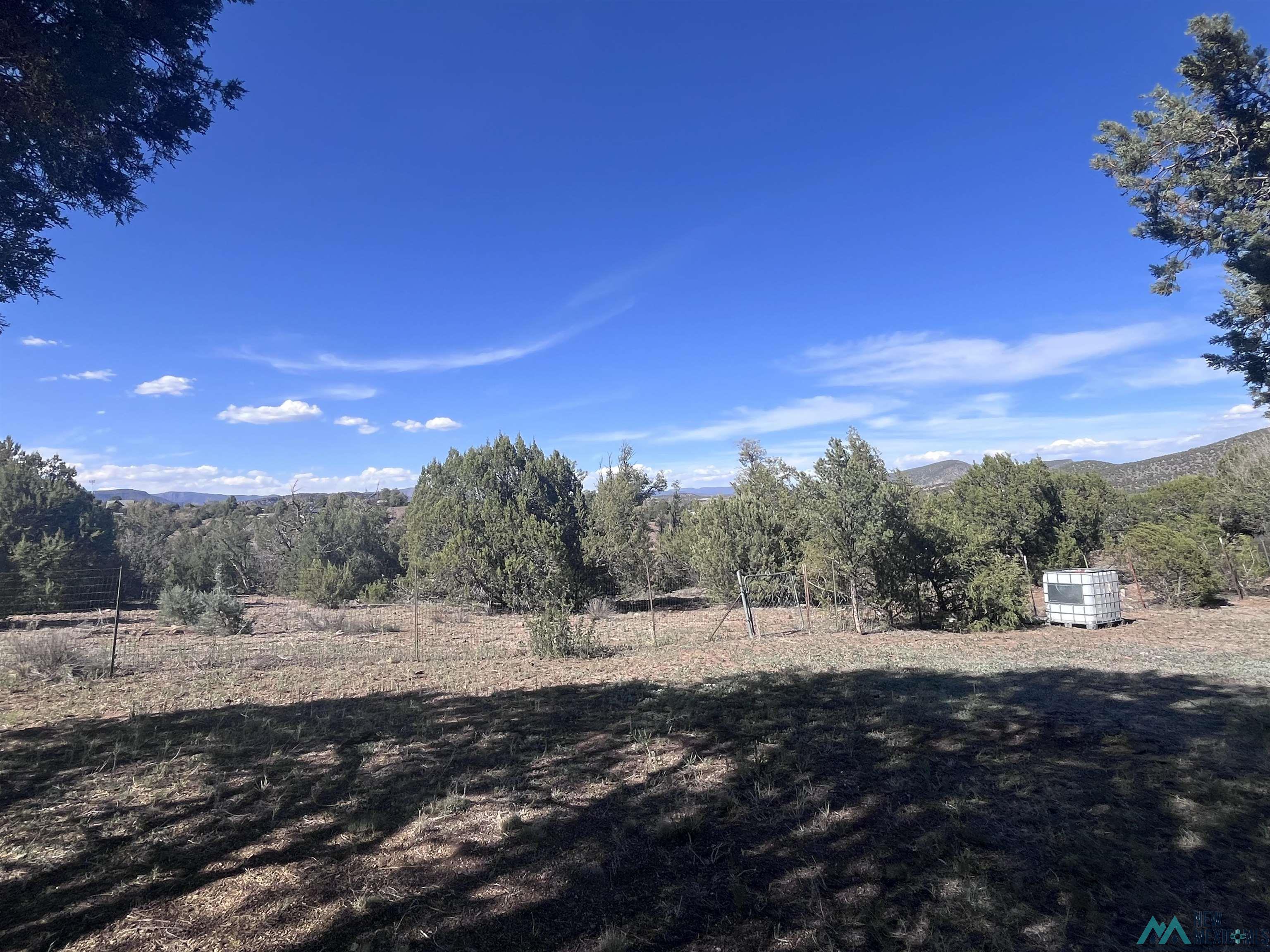 14 Jimmy Avenue, Reserve, NM, 87830