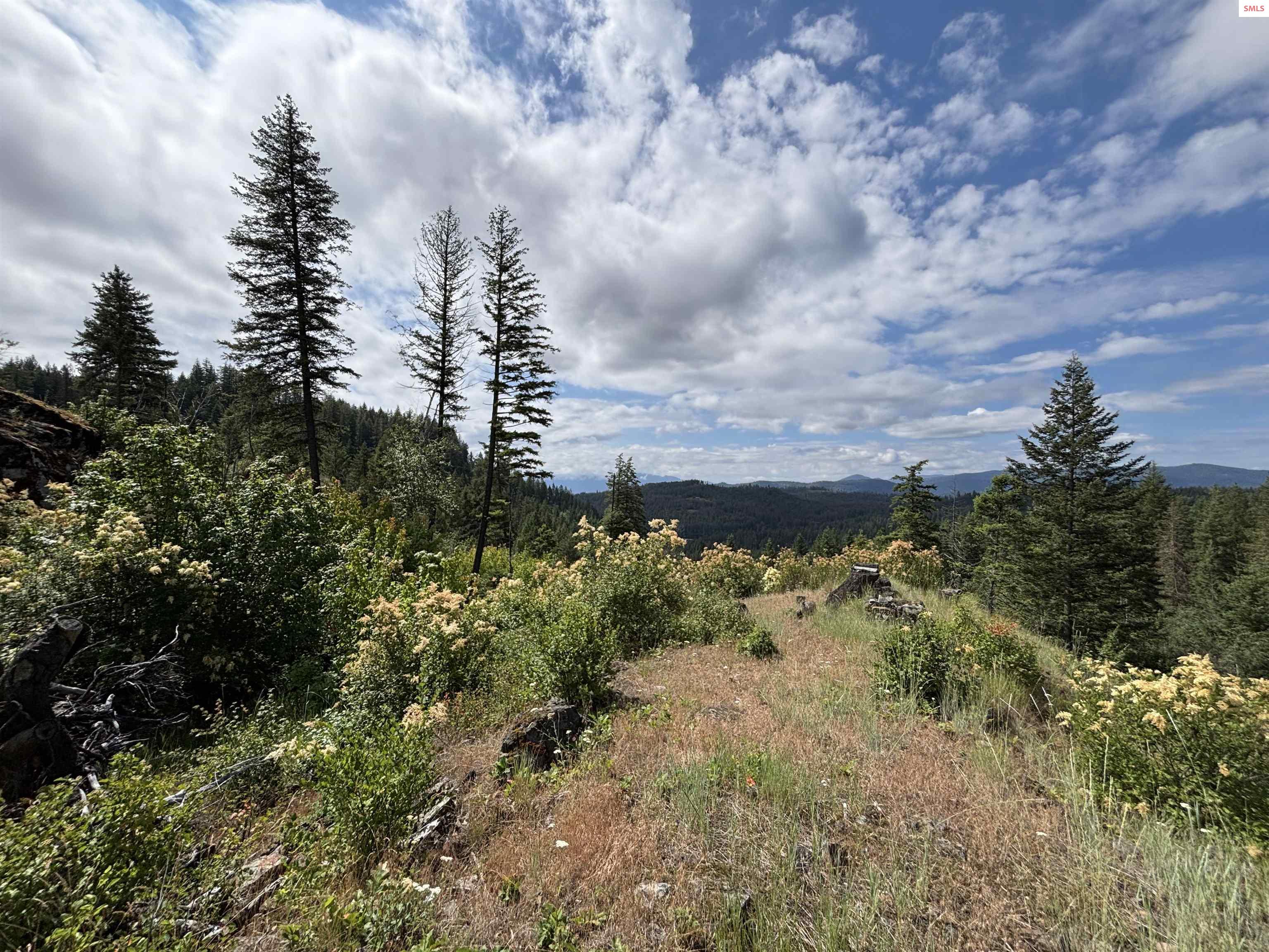 Property photo 2 for NNA Idaho Club Drive