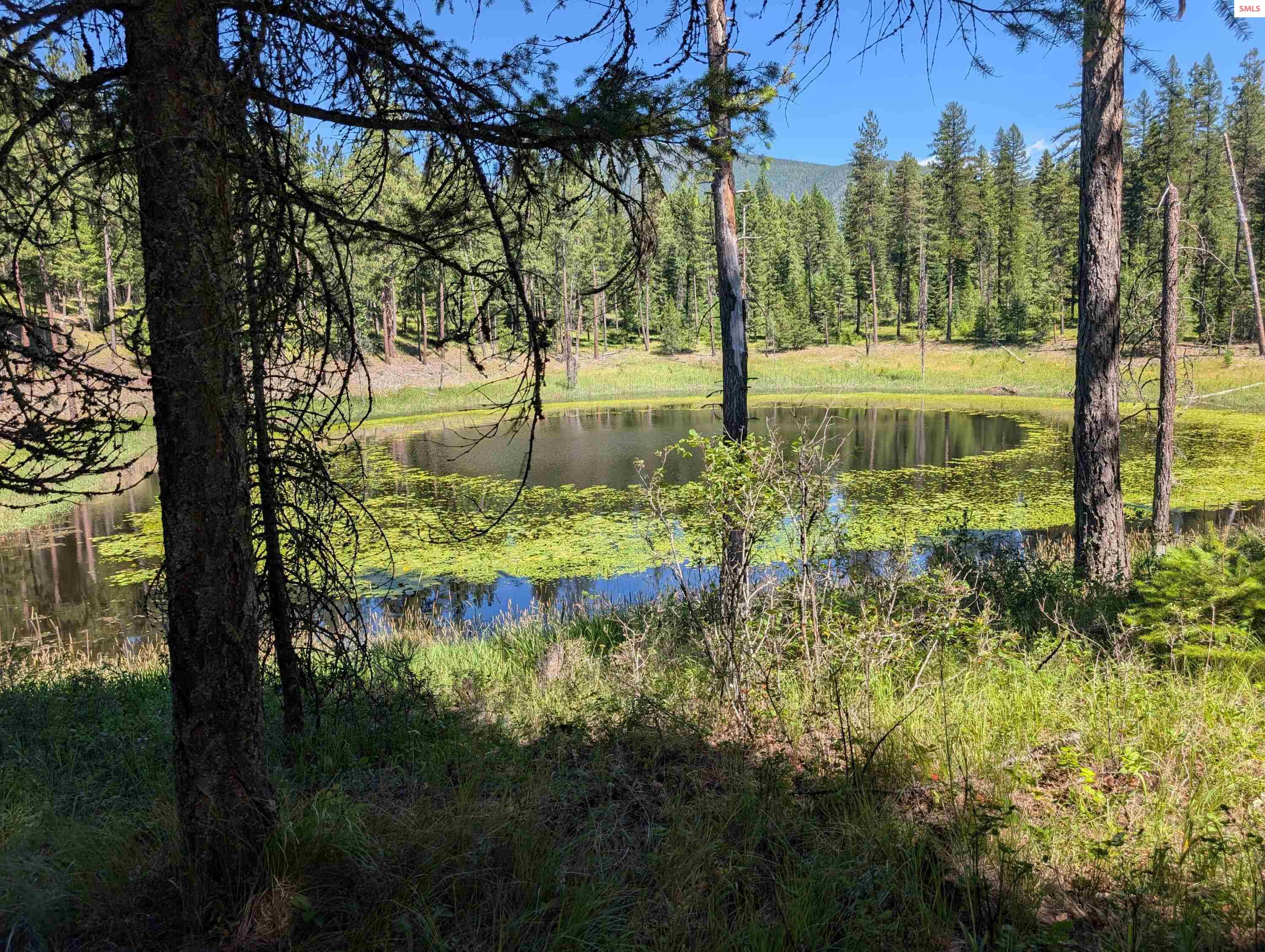 Property photo 3 for 53396 Highway 95