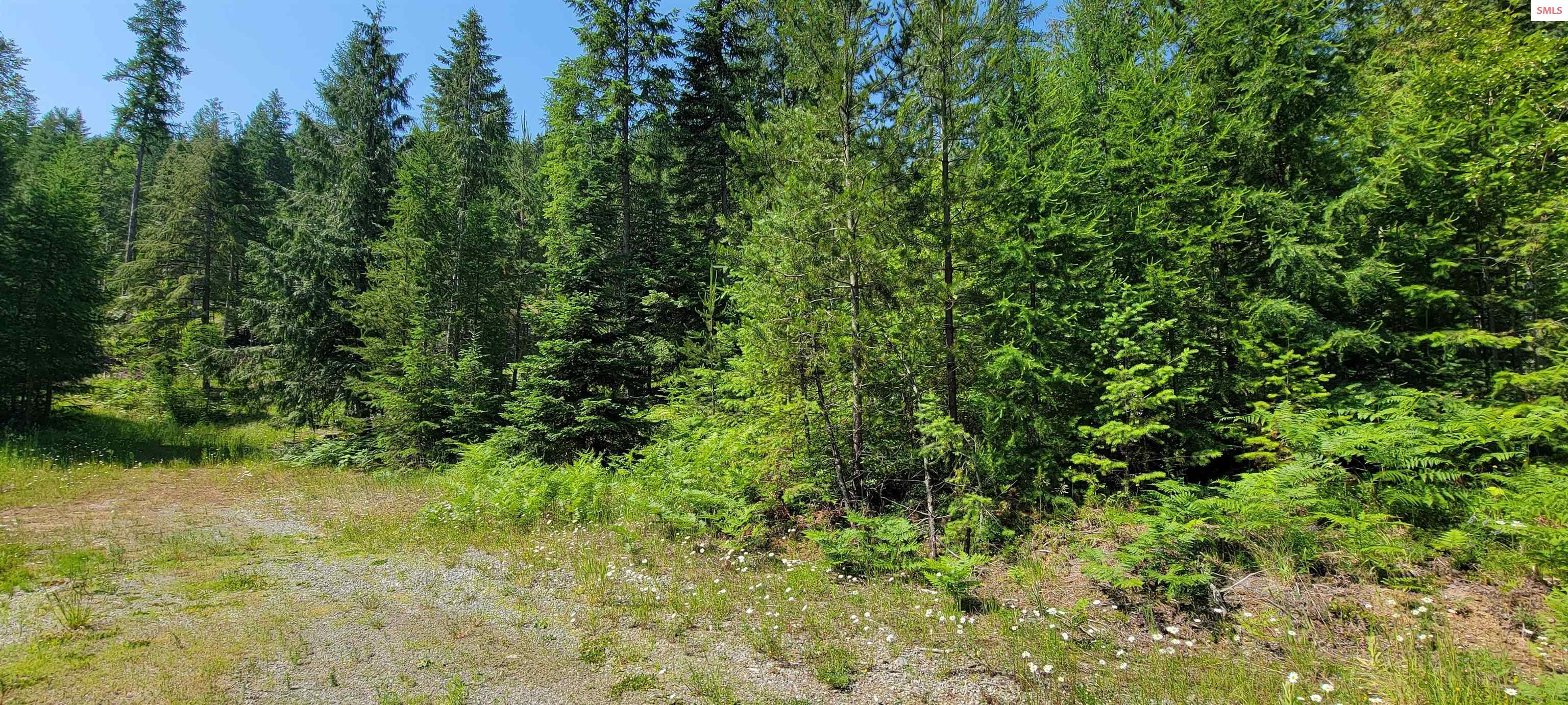 Property photo 2 for NNA Enchanted Lane - #3