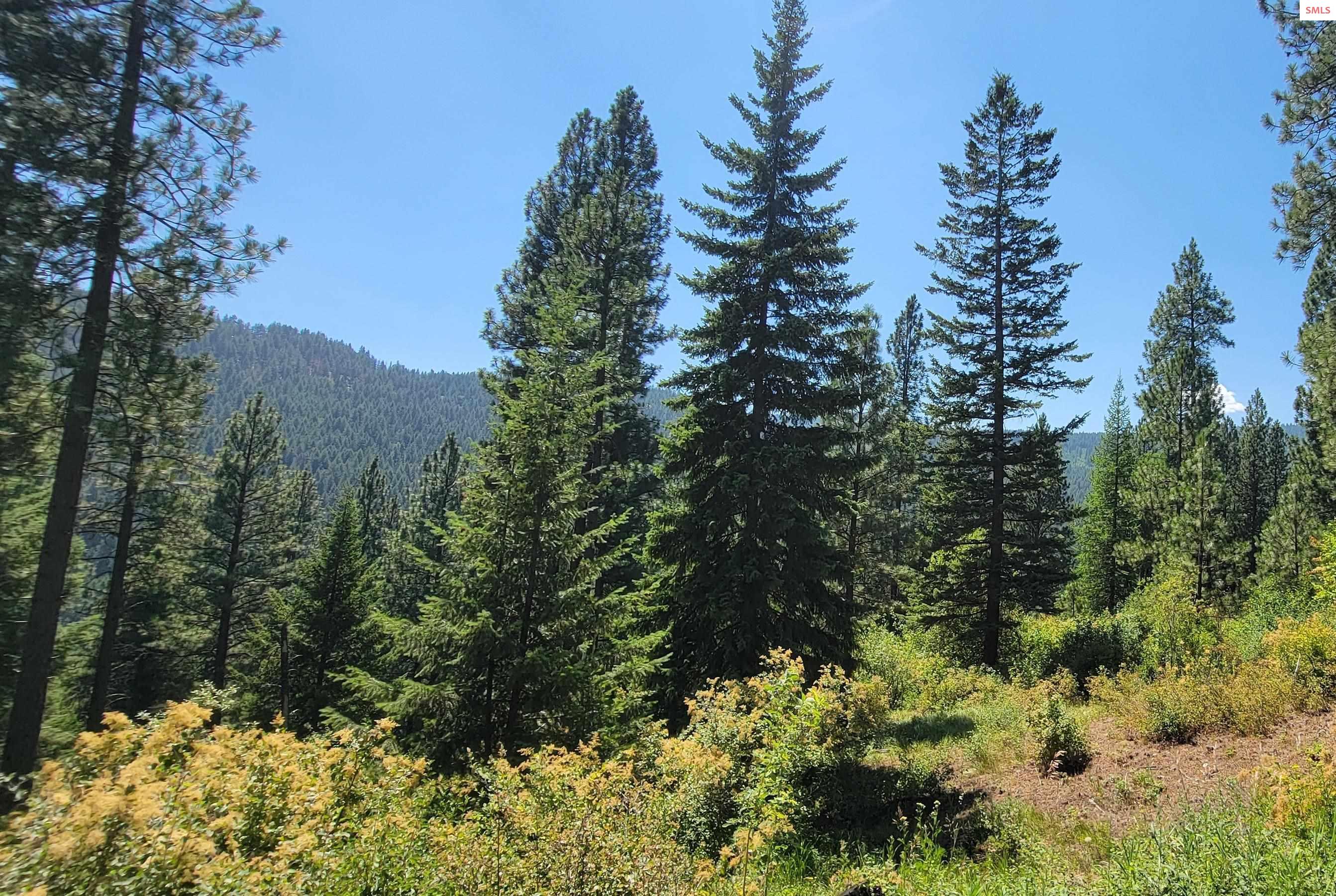 Property photo 2 for NNA Snowcat Lane Tract 4