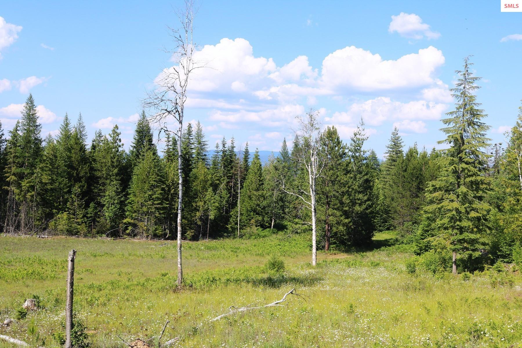 Property photo 2 for NKA Slippery Slope Trail