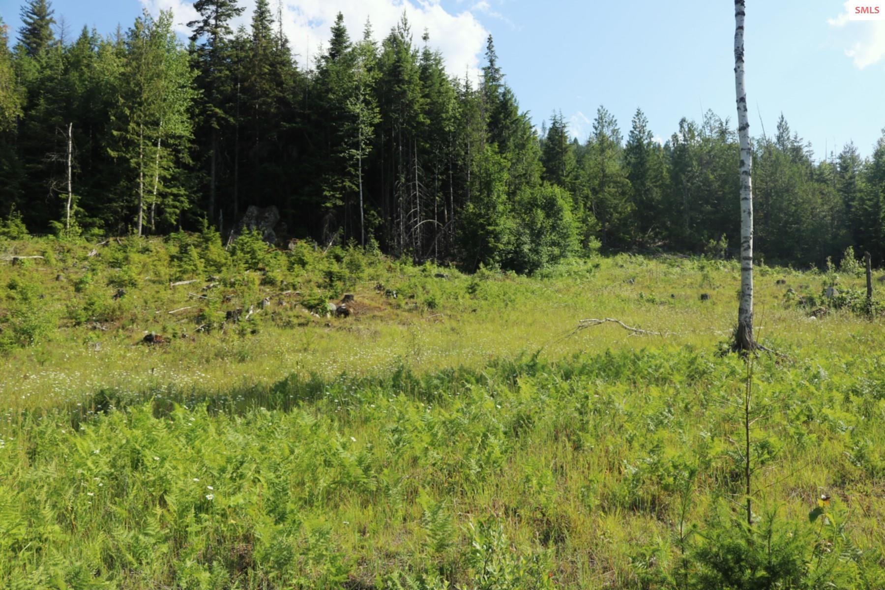 Property photo 3 for NKA Slippery Slope Trail