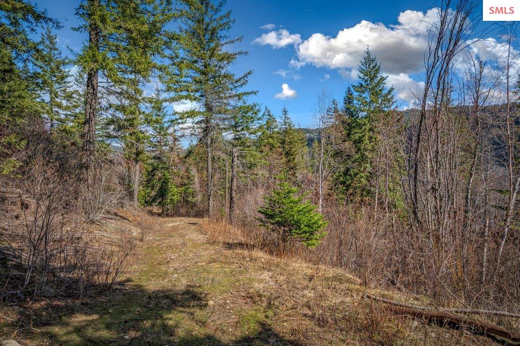 Property photo 3 for NNA G8 Forest Highland