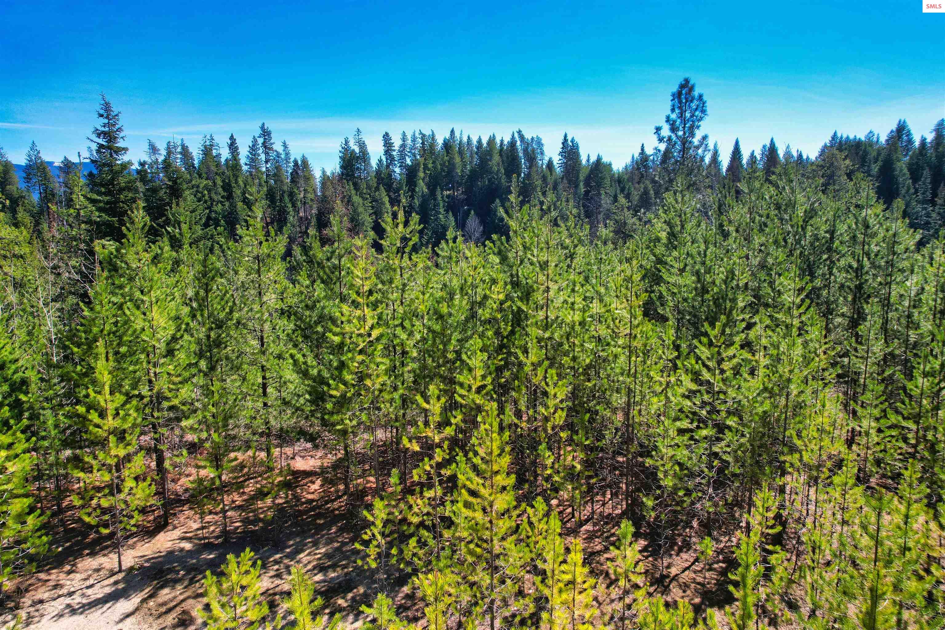 Property photo 3 for NNA 20 Acres Juniper Lane
