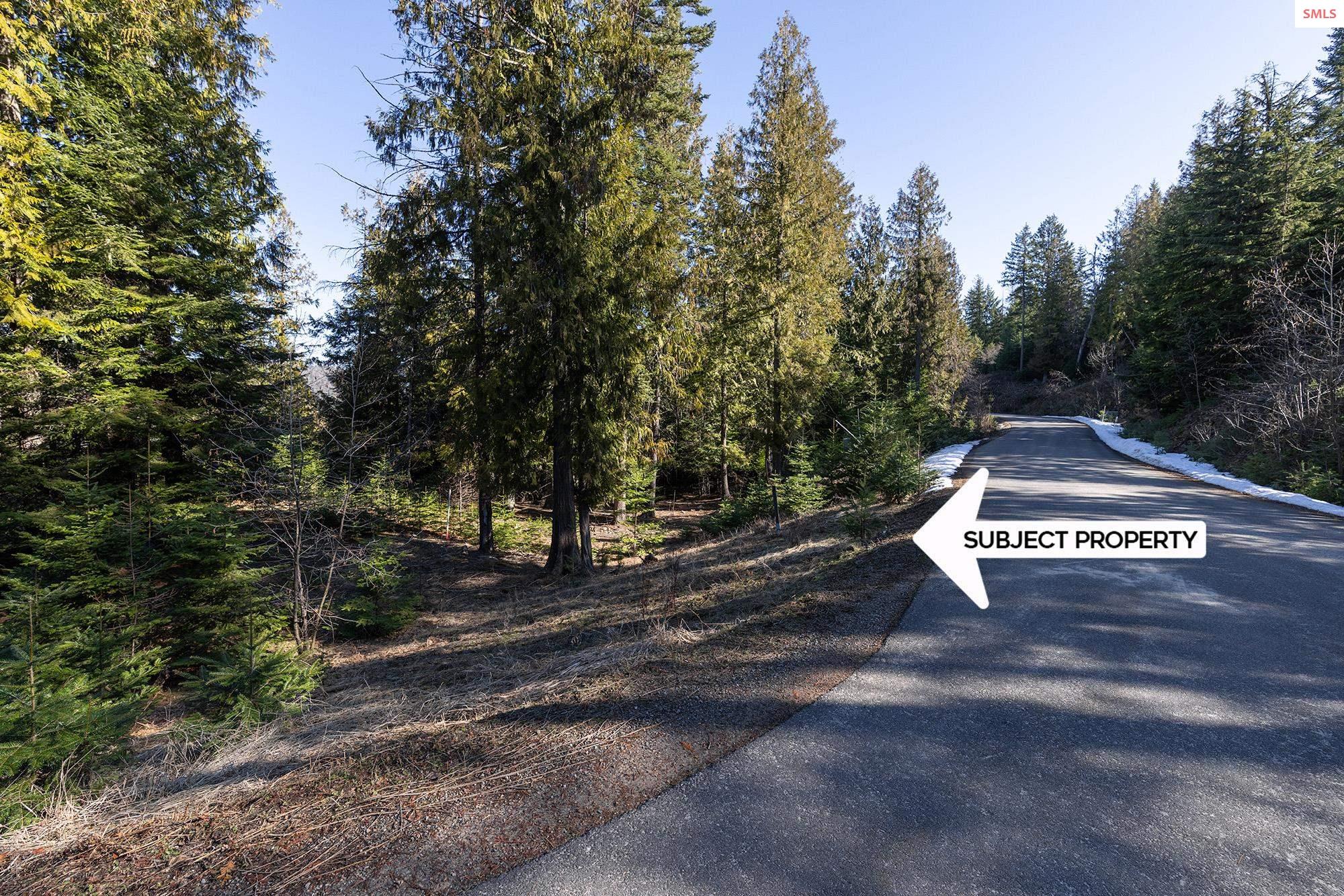 Property photo 2 for Lot 17 White Cloud Dr