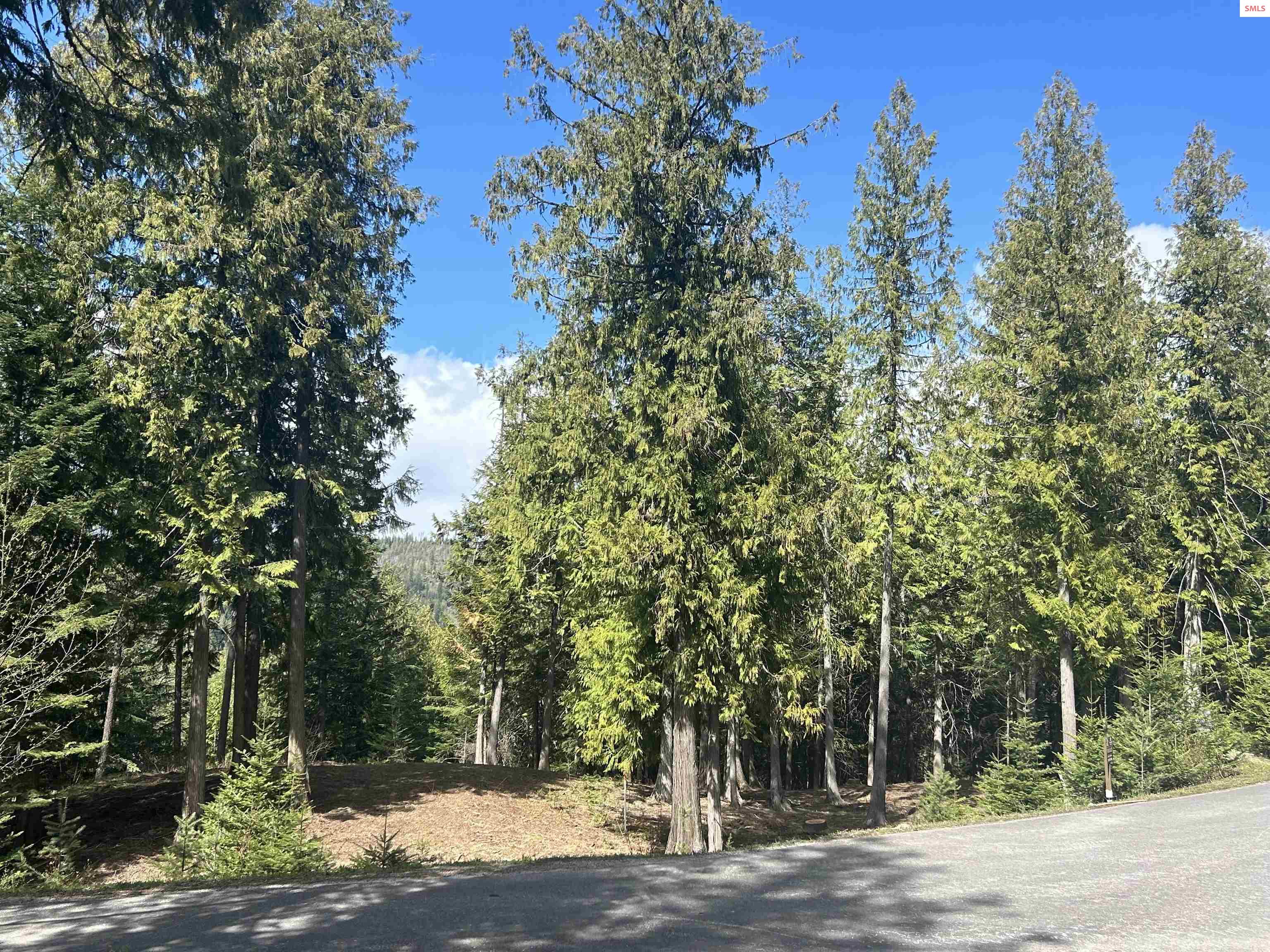 Property photo 3 for Lot 17 White Cloud Dr