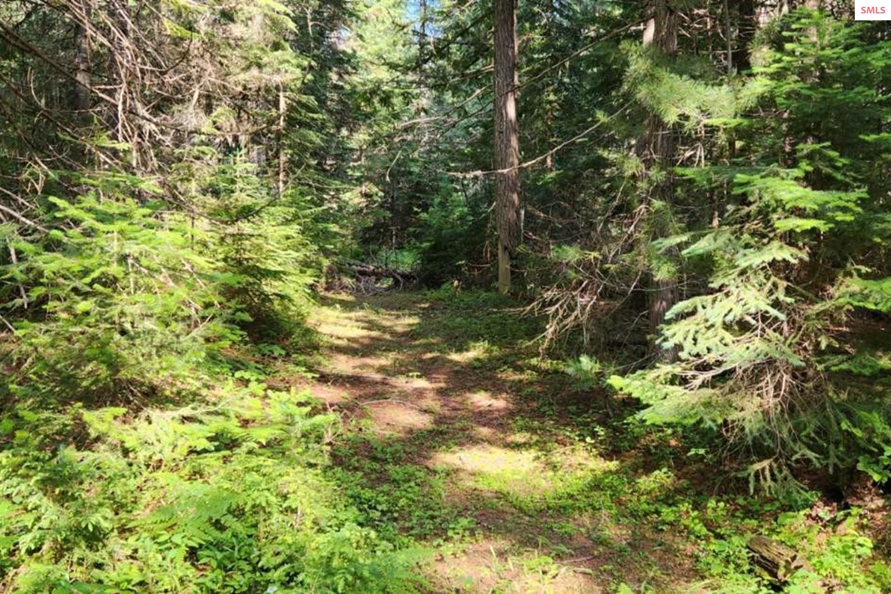 Property photo 3 for NNA Reeder Bay Rd
