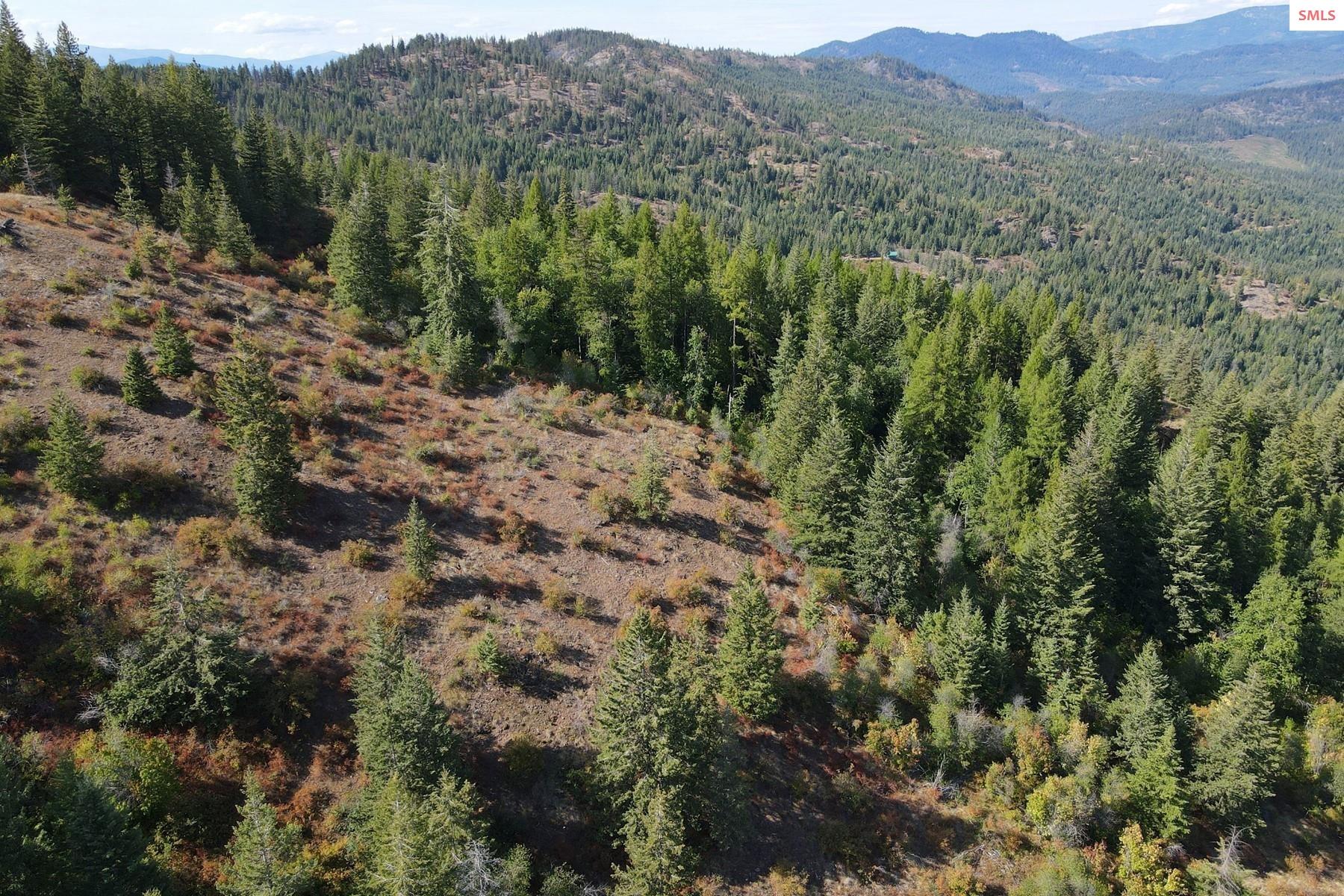 Property photo 3 for NNA 10 Acres Upper Manley Creek Rd