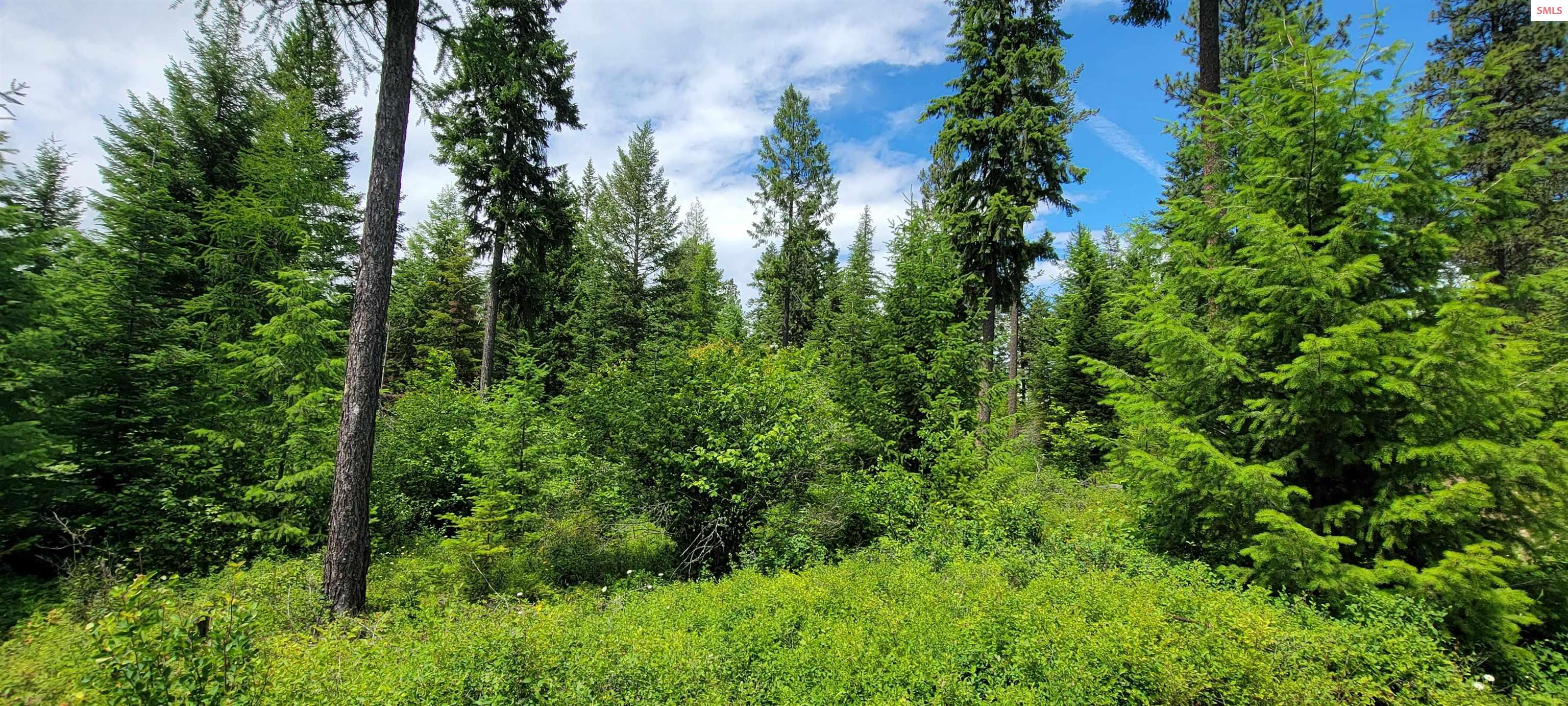 Property photo 3 for NNA Continental Lane - Tract 1