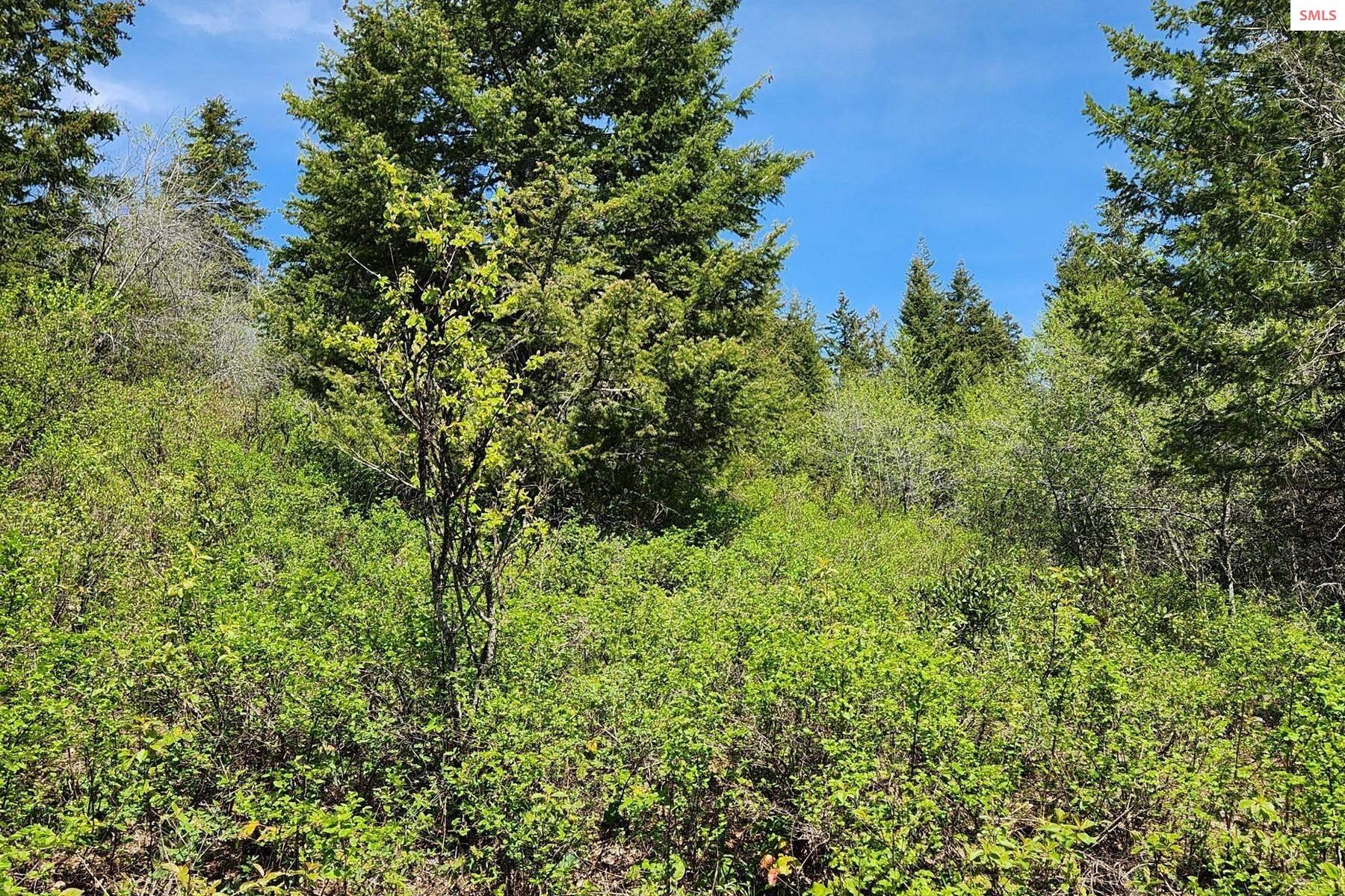 Property photo 3 for NNA All Seasons Rd