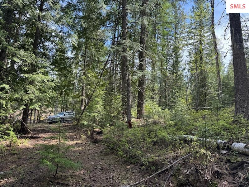 Property photo 3 for NNA Raven Ridge - 20 acres