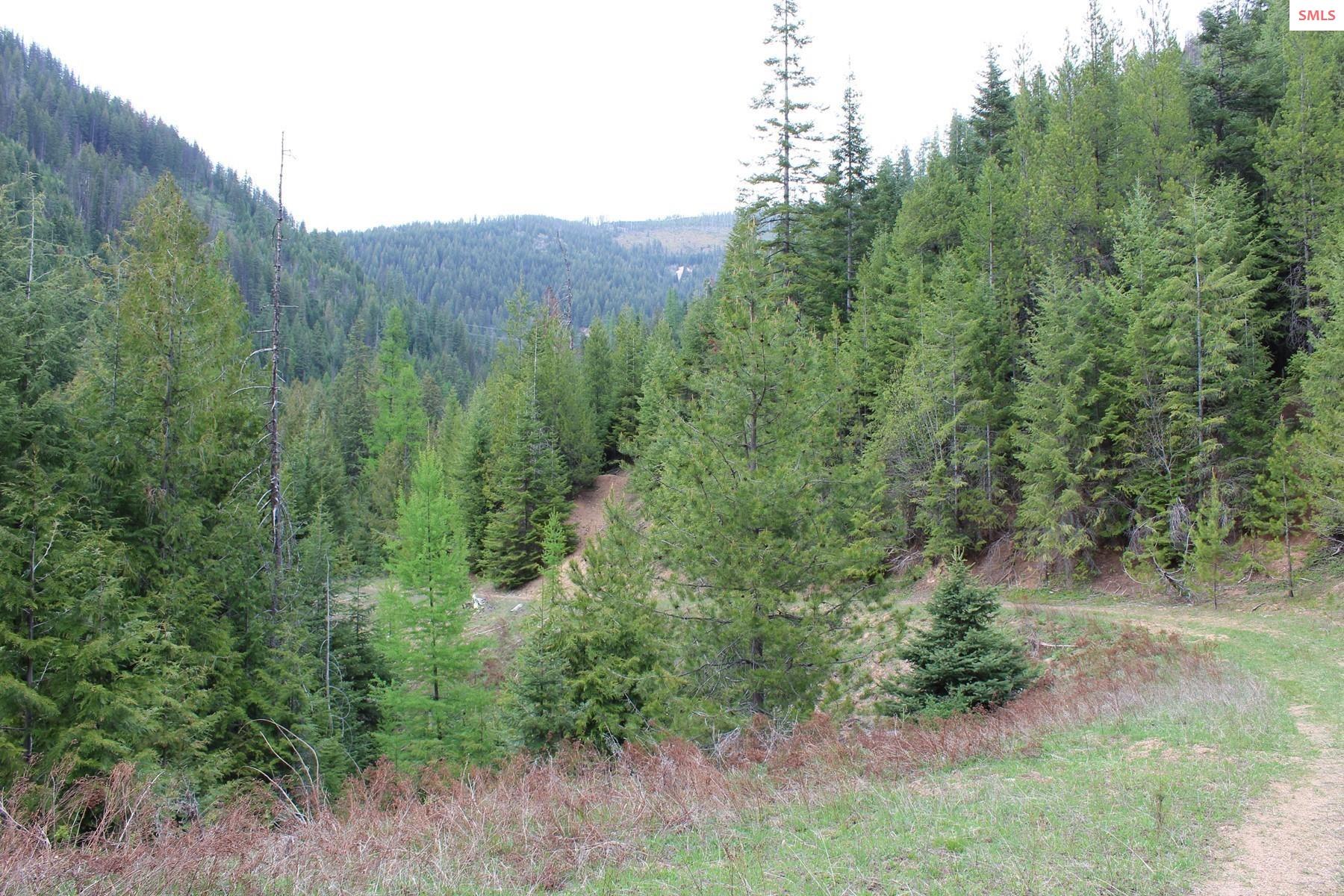 Front exterior of 19a Daisy Gulch Road