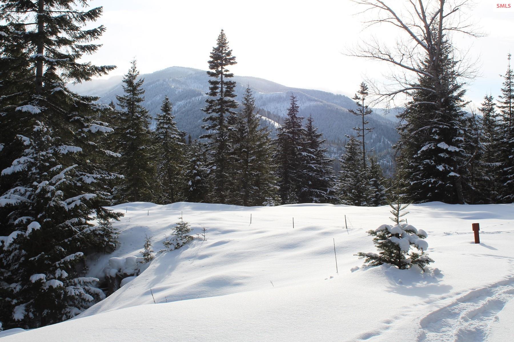 Property photo 2 for 19a Daisy Gulch Road