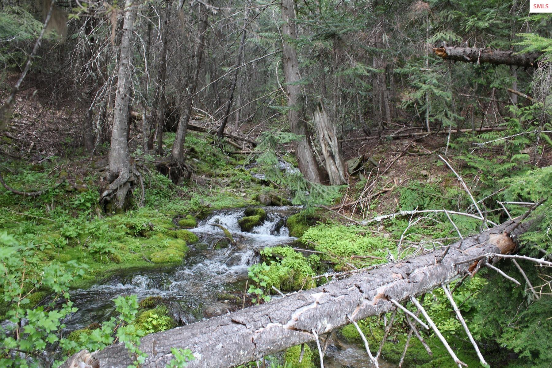 Property photo 3 for 19a Daisy Gulch Road