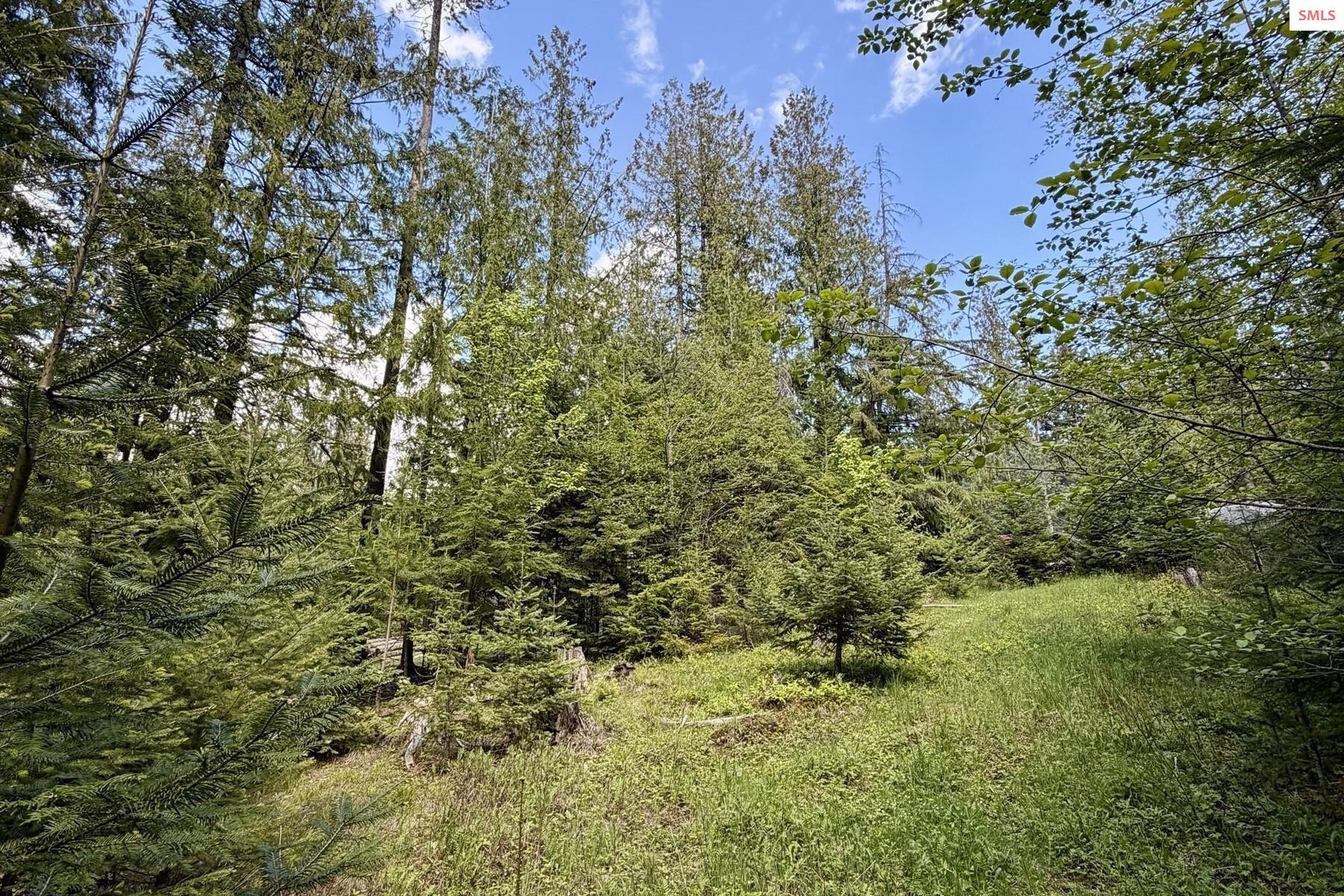 Property photo 2 for NNA Lot 4 Silver Reef Road