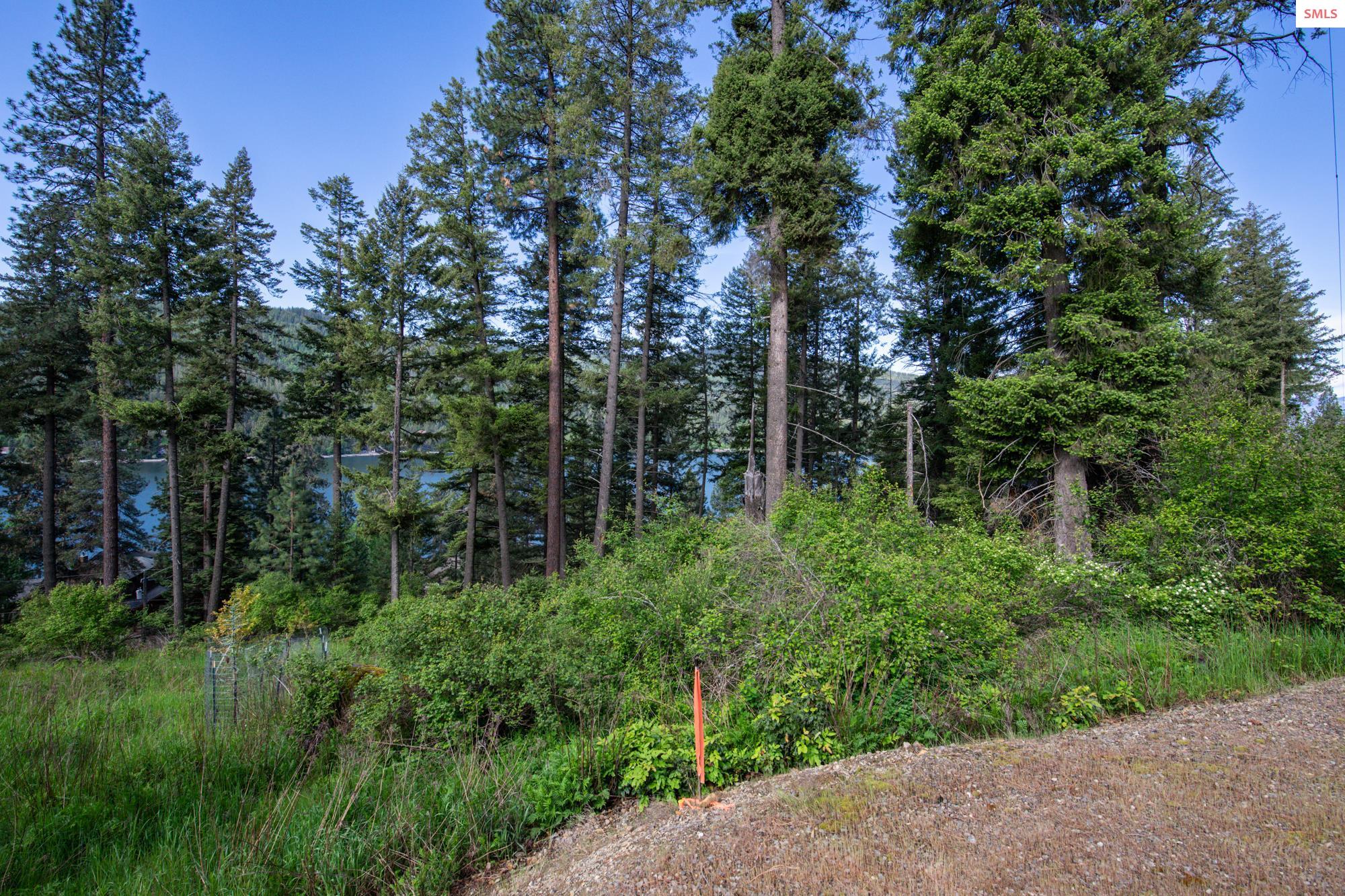 Property photo 3 for 156 Beltane Cove