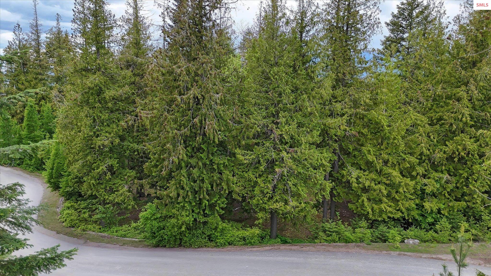 Property photo 2 for Lot C19 Trappers Loop