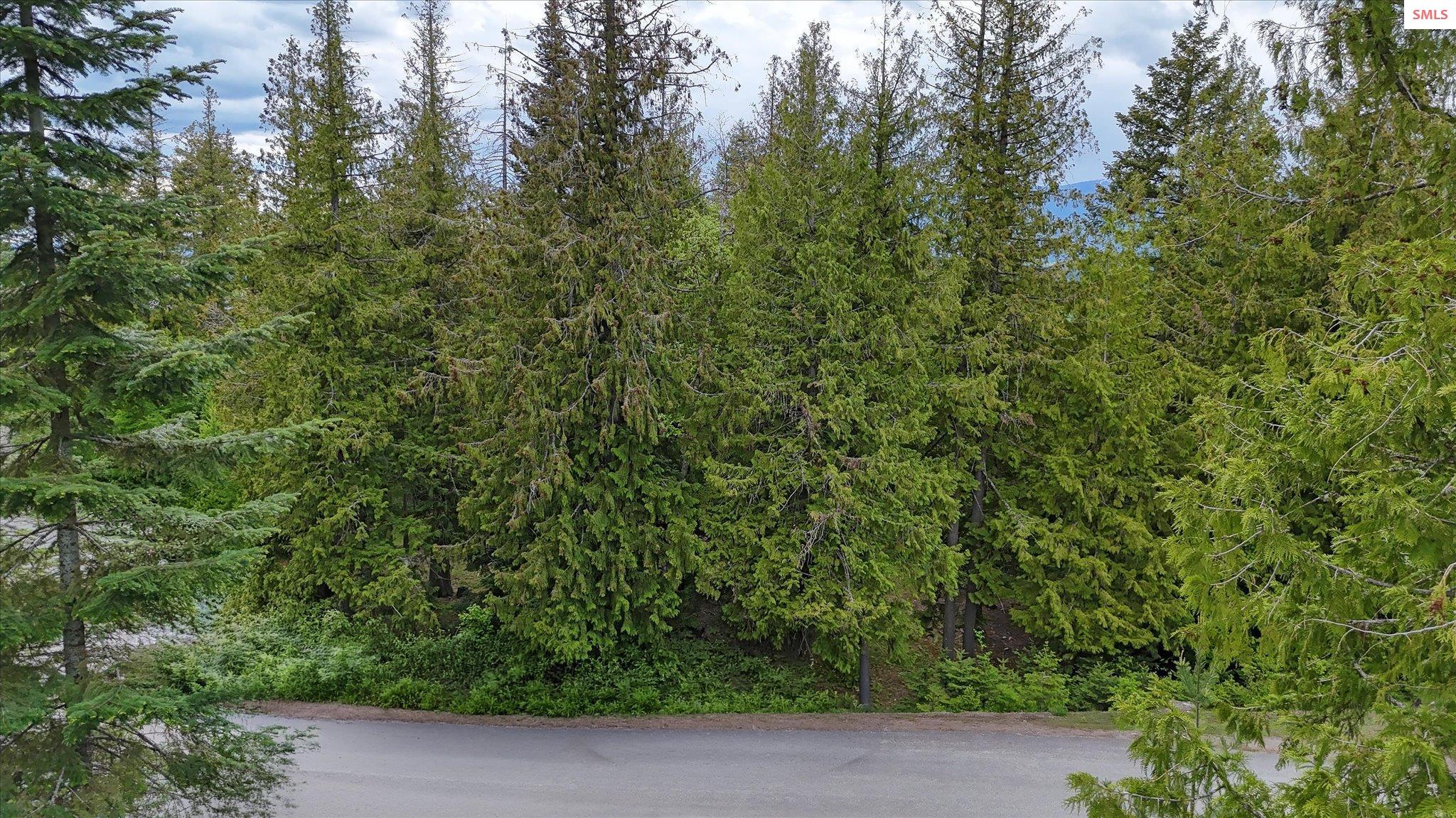 Property photo 3 for Lot C19 Trappers Loop