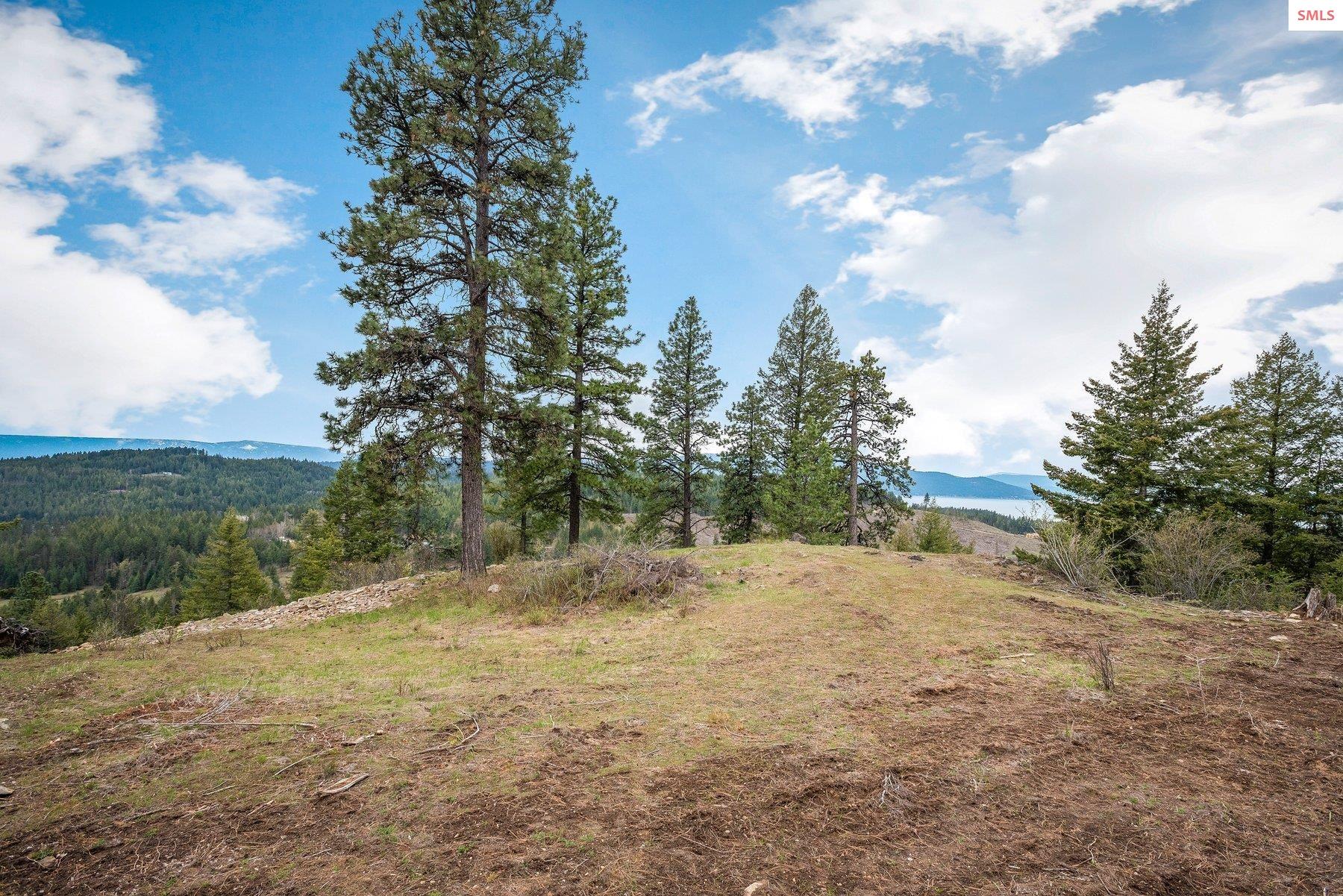 Property photo 3 for NNA   D10 White Cloud Drive