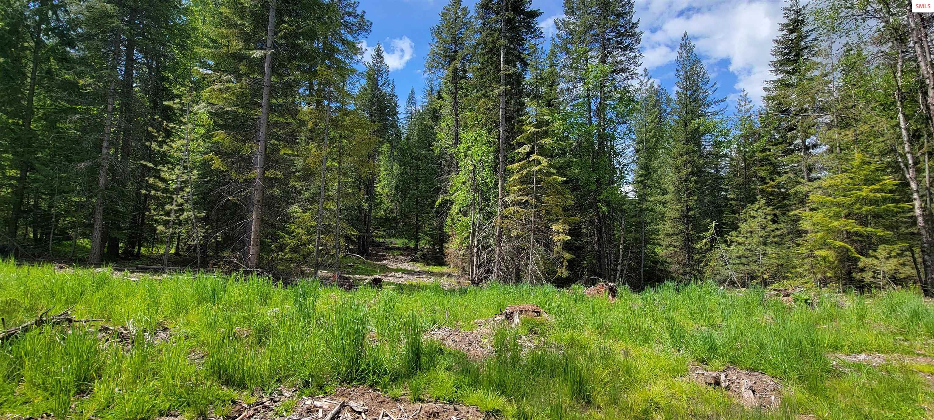 Property photo 3 for NNA Pup Paw Trail