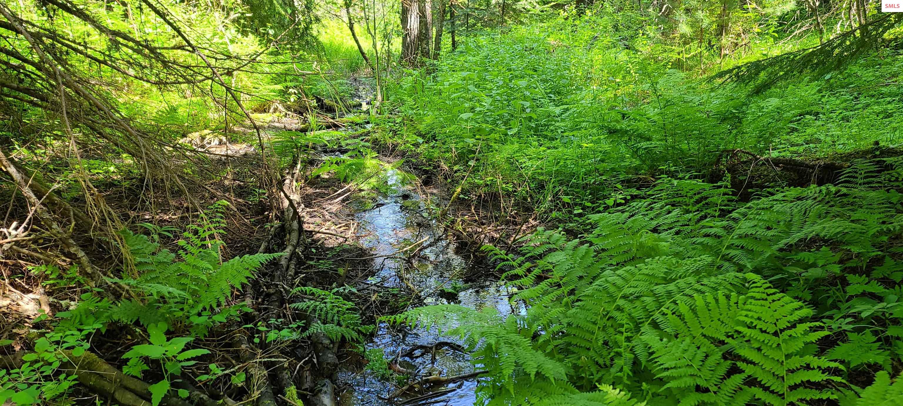 Property photo 2 for NNA Pup Paw Trail - South Parcel