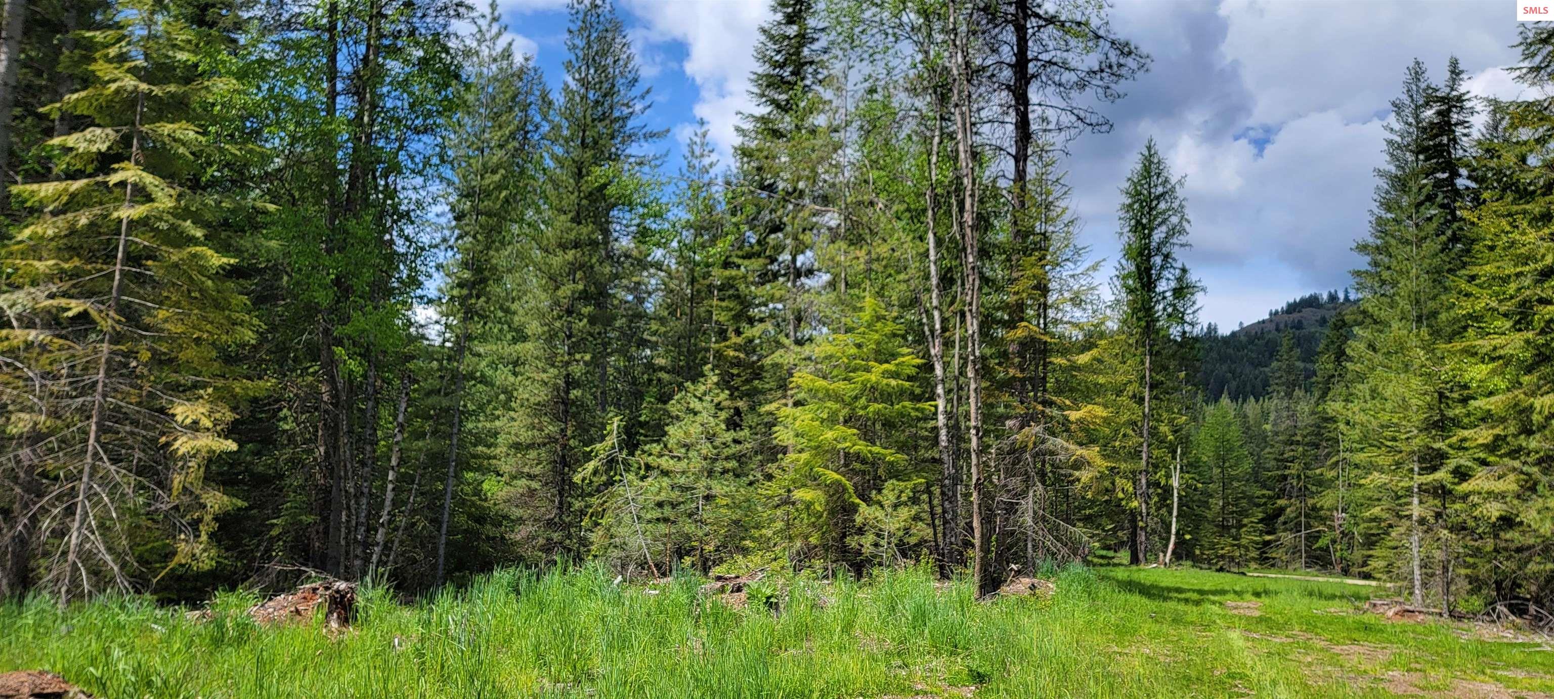 Property photo 2 for NNA Pup Paw Trail - North Parcel