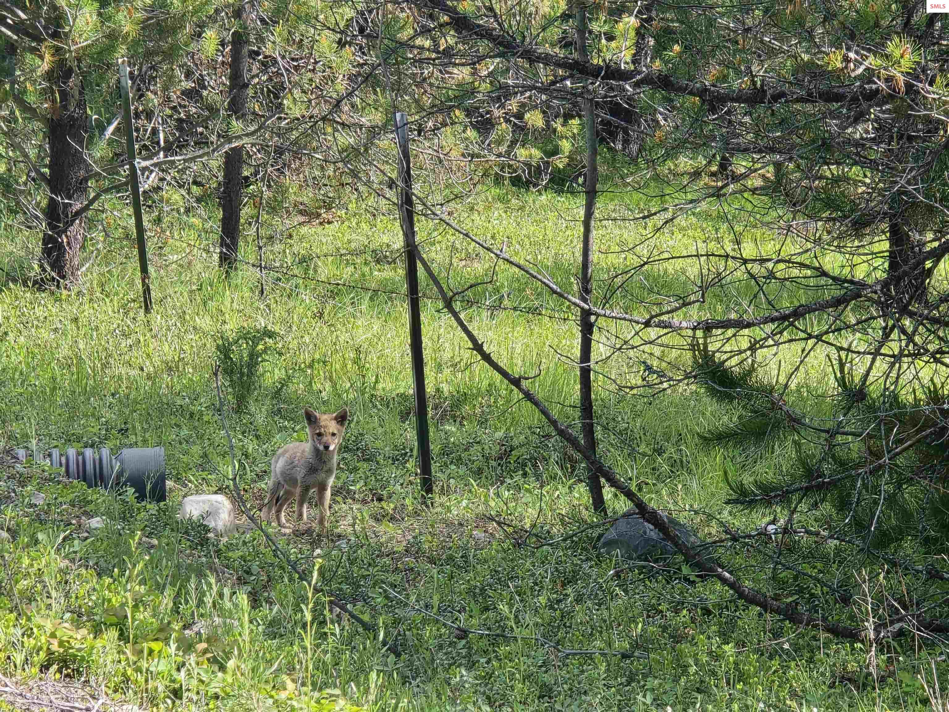 Property photo 3 for TBD Yaak River Rd