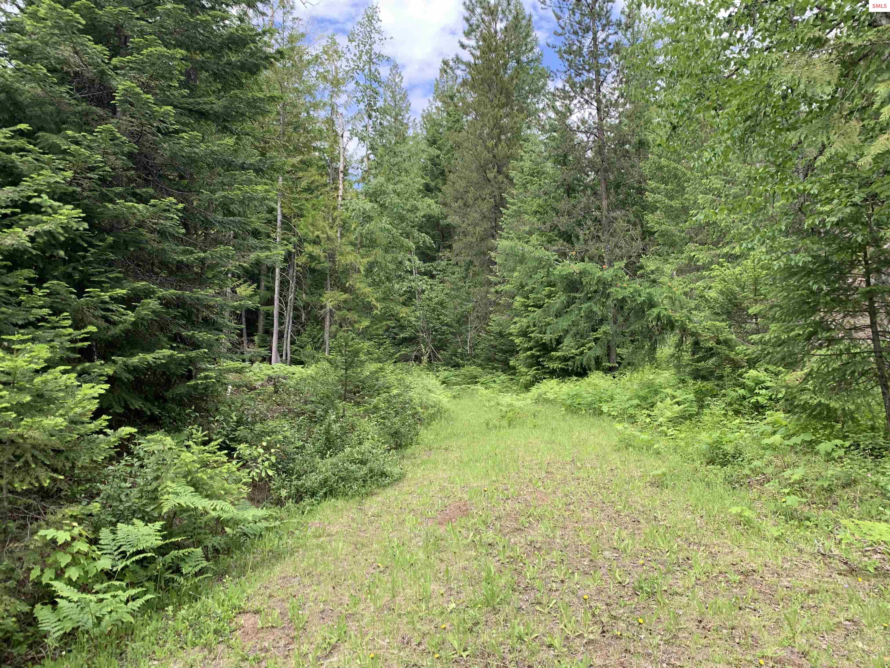 Property photo 2 for NNA Gold Creek Ridge Road