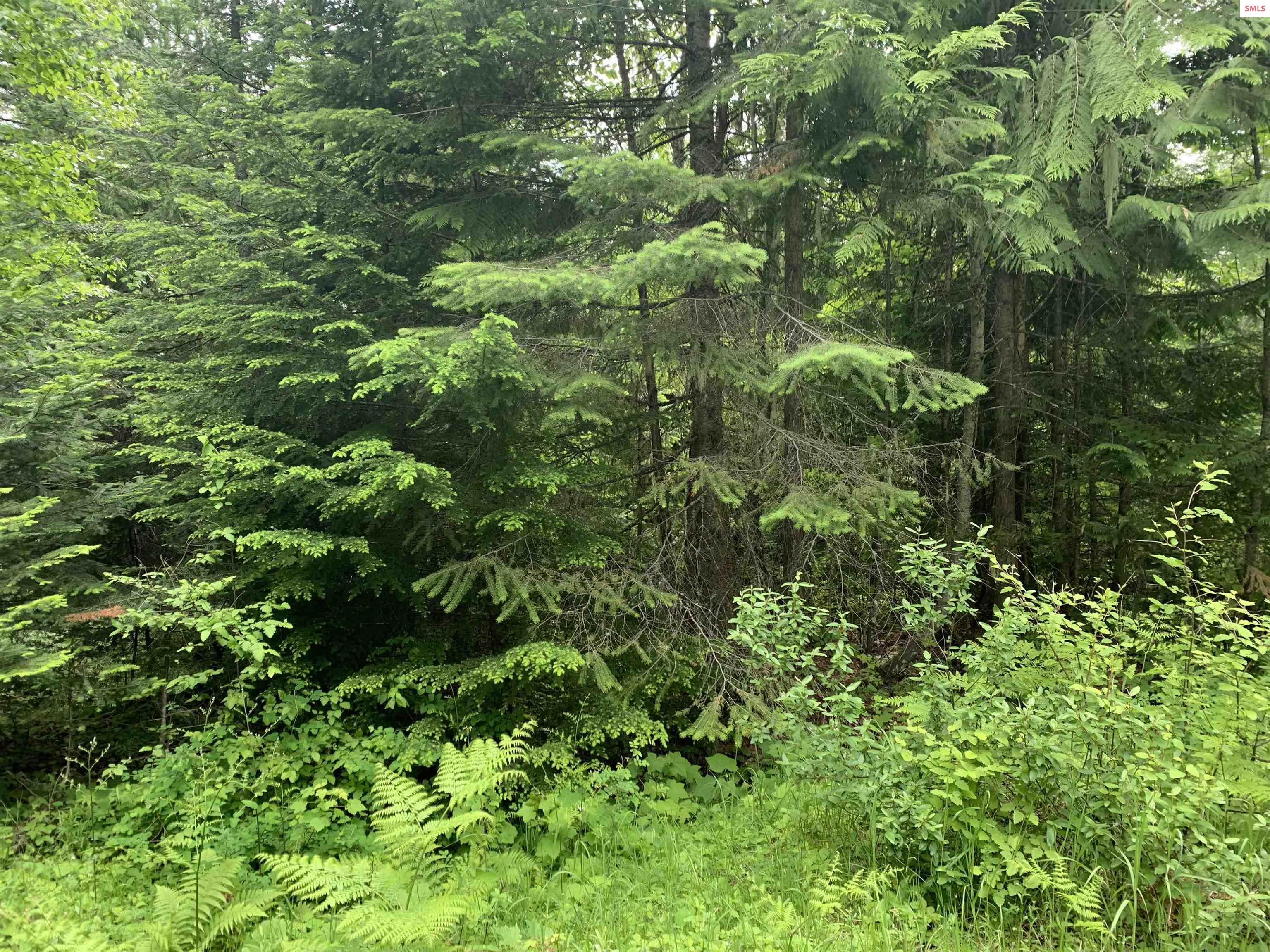 Property photo 3 for NNA Gold Creek Ridge Road