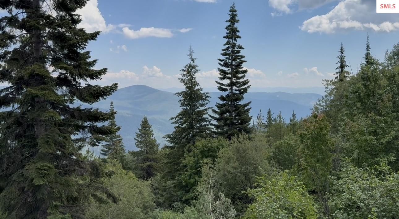 Property photo 2 for 160acs Jeru Creek Rd 293