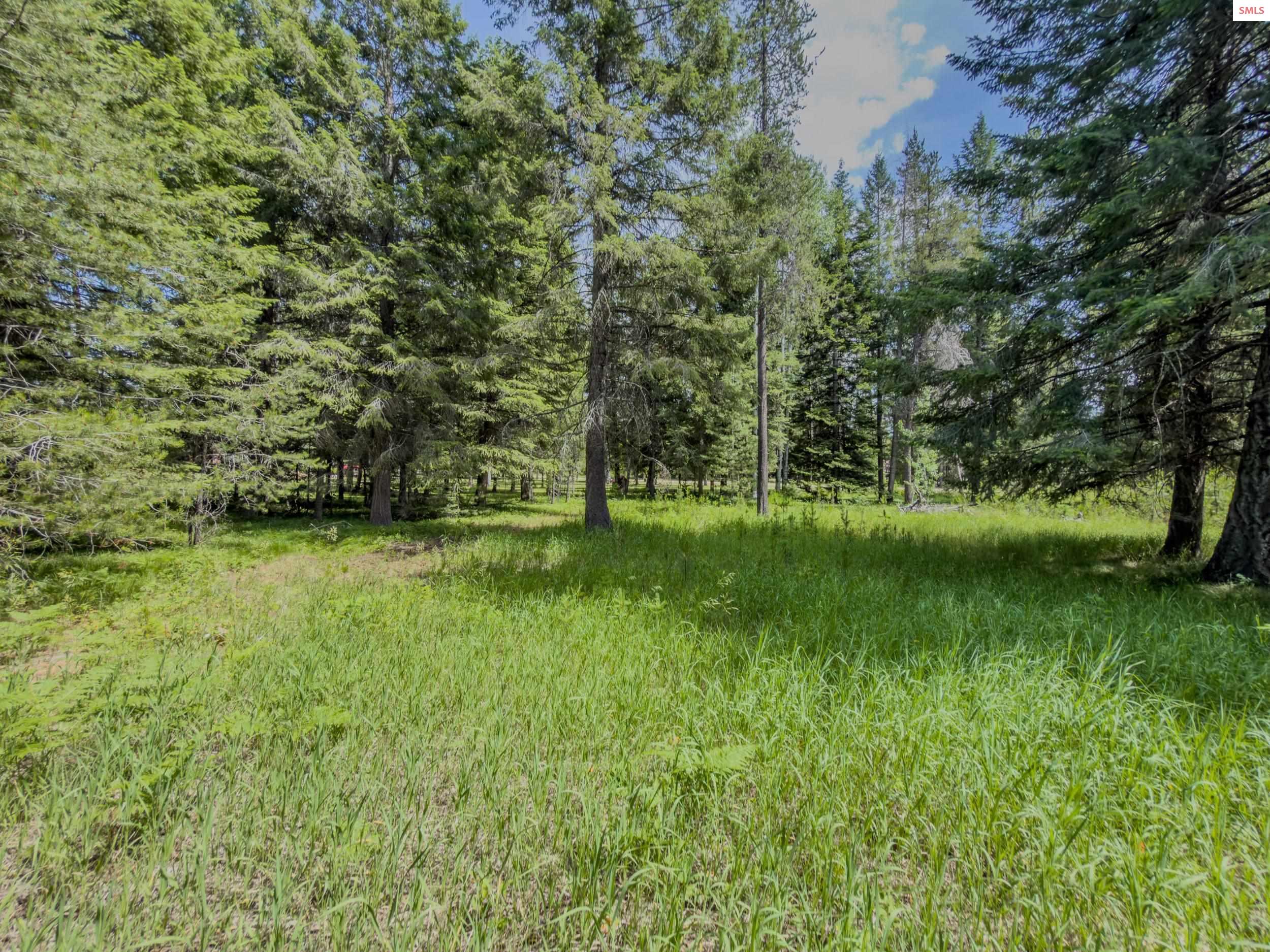 Property photo 2 for 321 Winterton