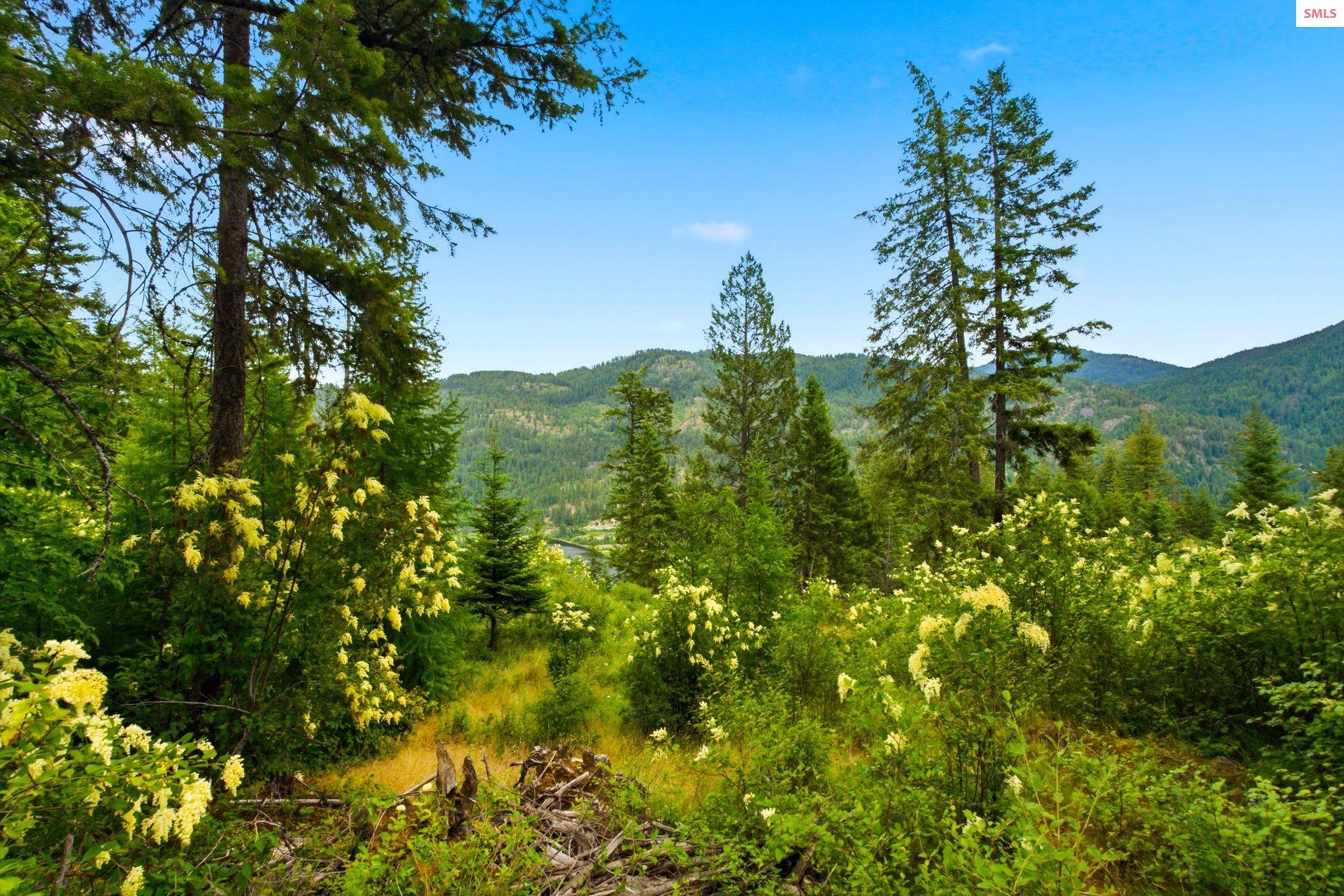 Property photo 3 for G10 Forest Highland