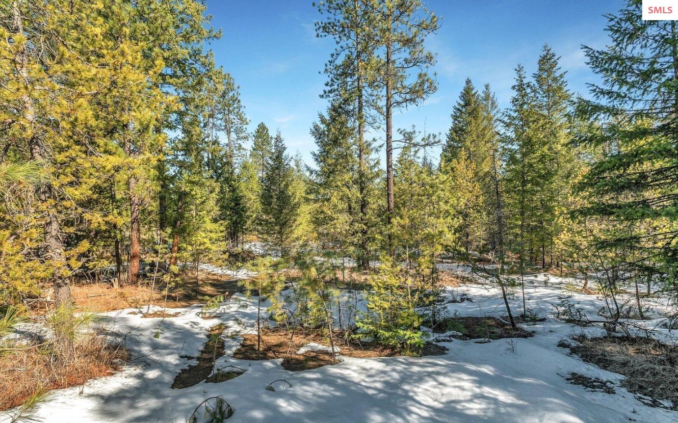 Property photo 3 for NKA Lot 1 Everett Huff Rd
