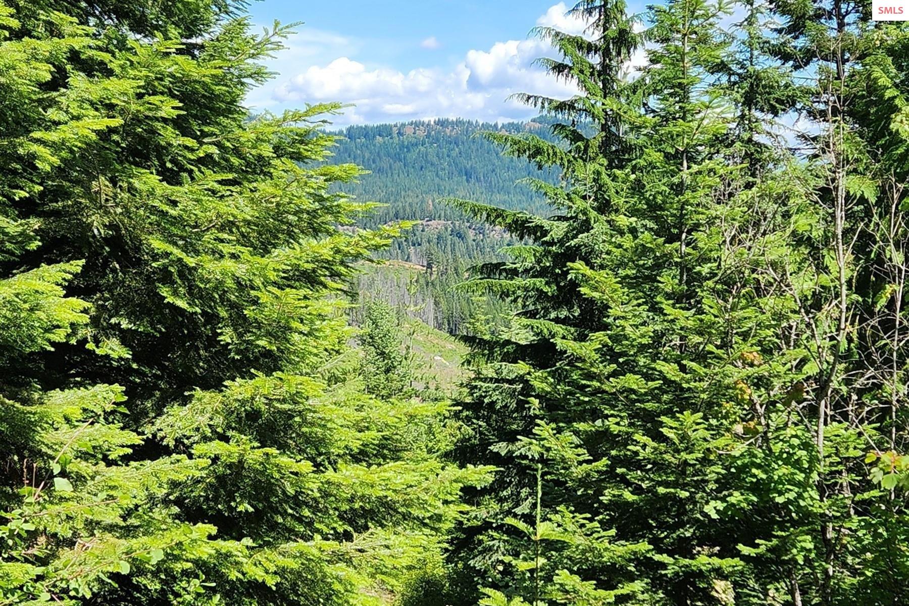 Property photo 2 for 718 Slippery Slope Lot 1