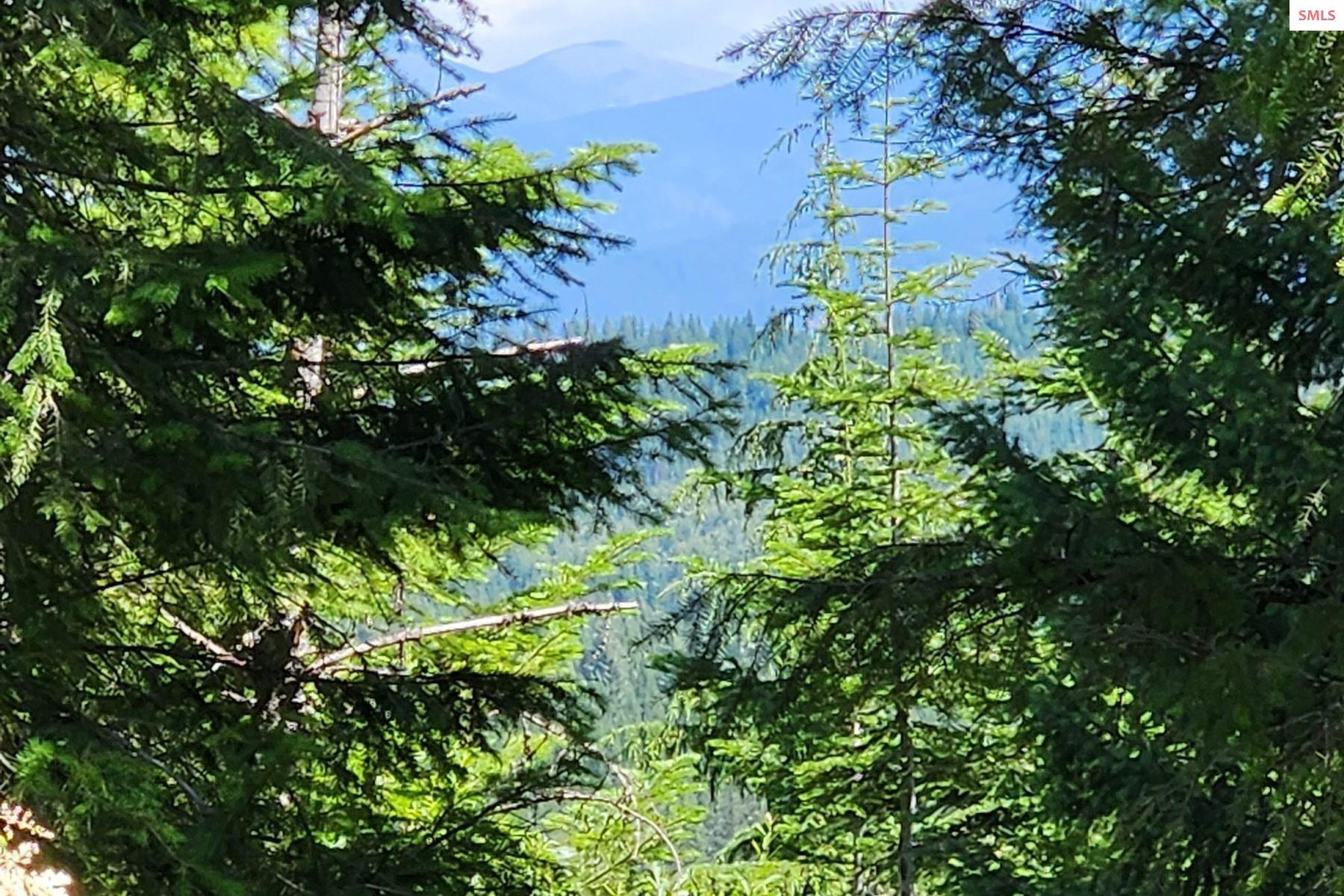 Property photo 3 for 718 Slippery Slope Lot 1