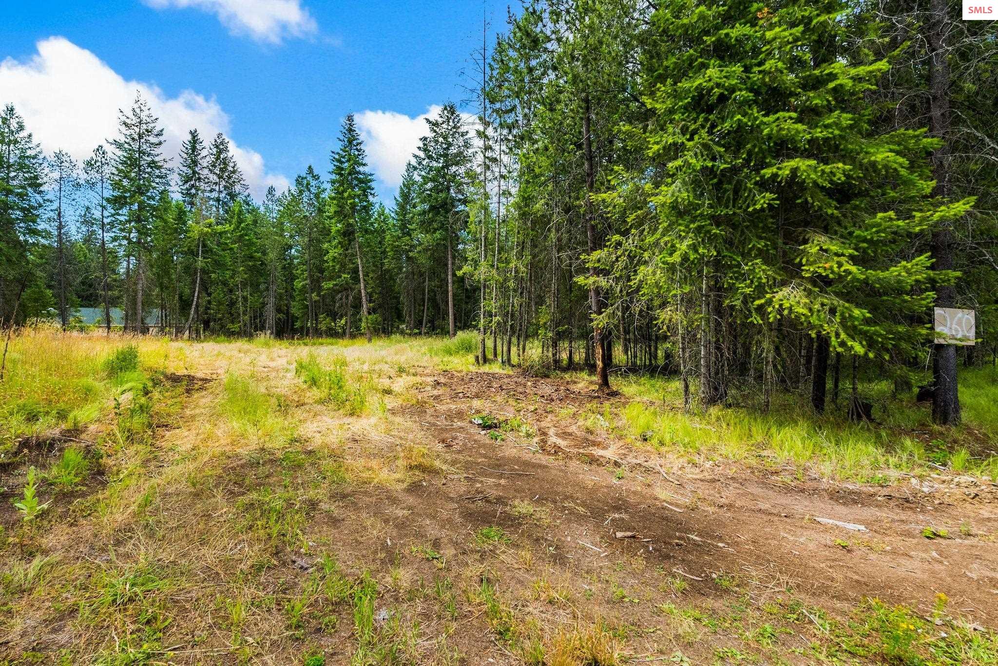 Property photo 3 for 260 Hardy Loop