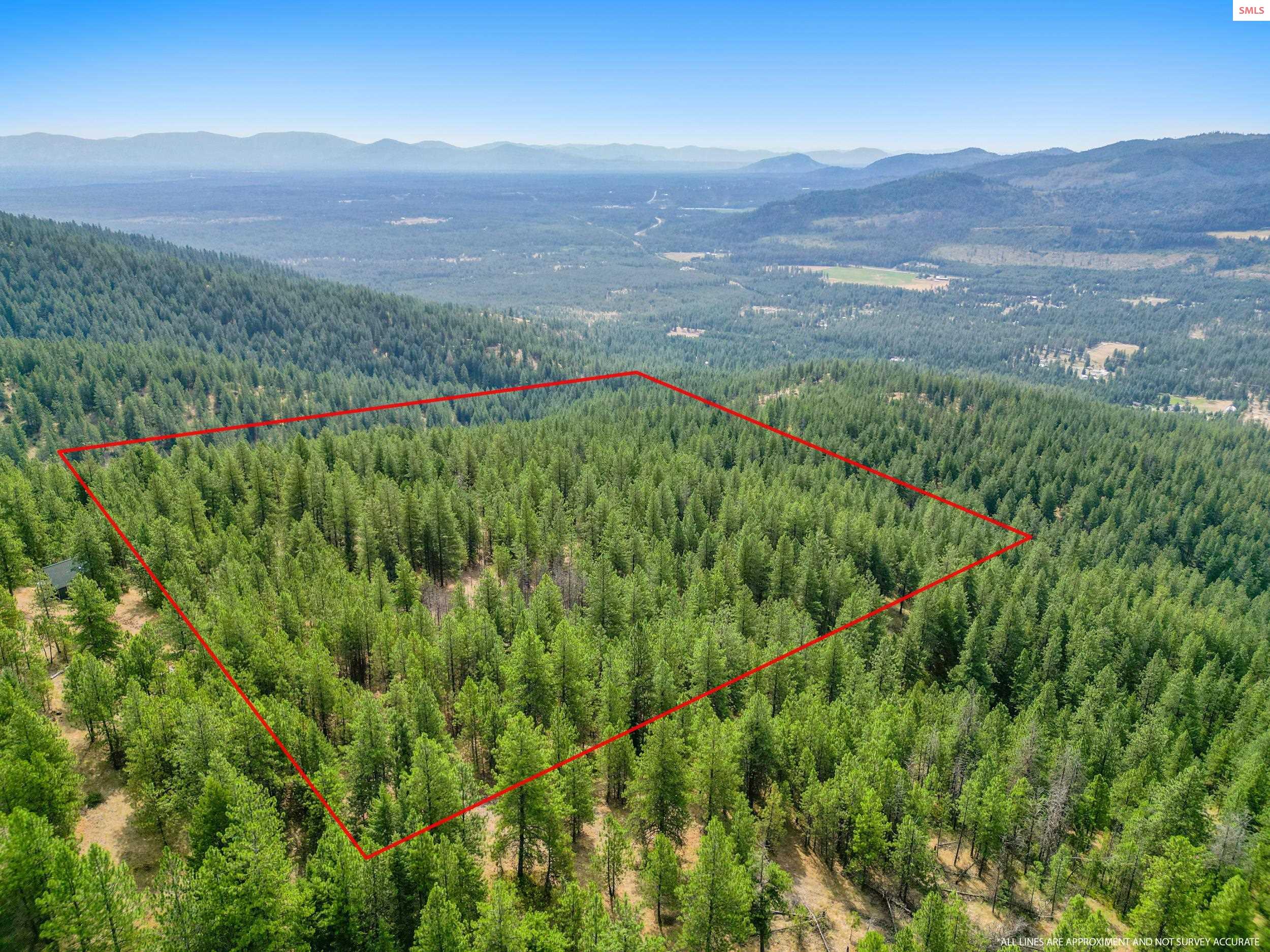 Property photo 2 for NNA USFS 2550 (40 acres)