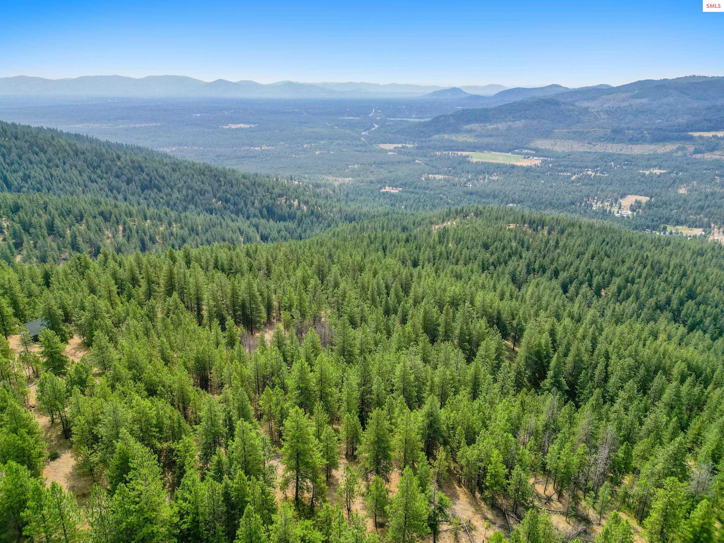 Property photo 3 for NNA USFS 2550 (40 acres)