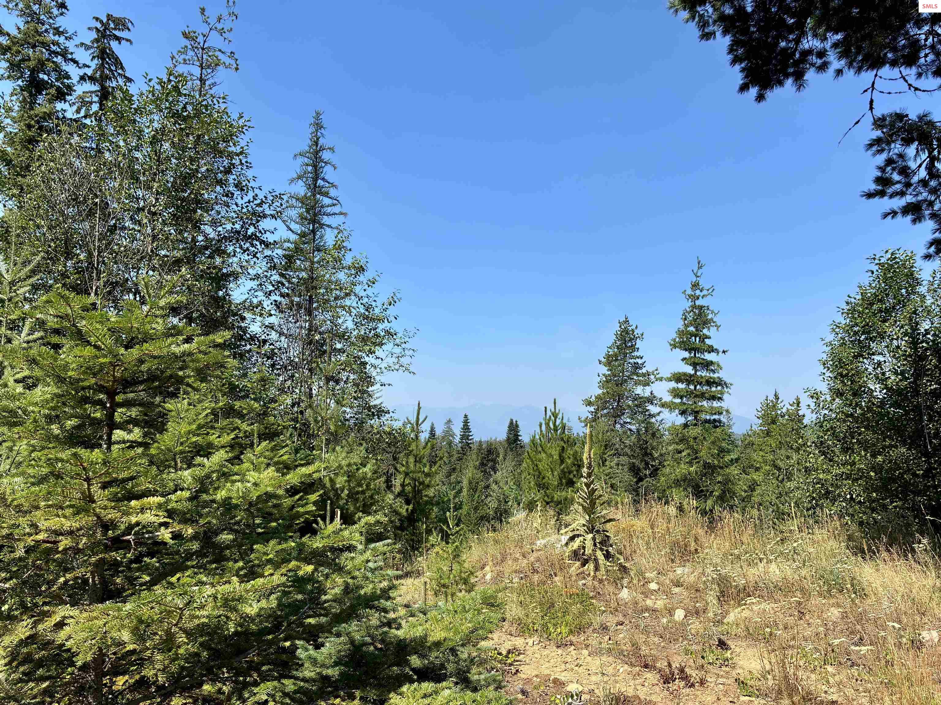 Property photo 2 for NKA Sugar Mountain Rd